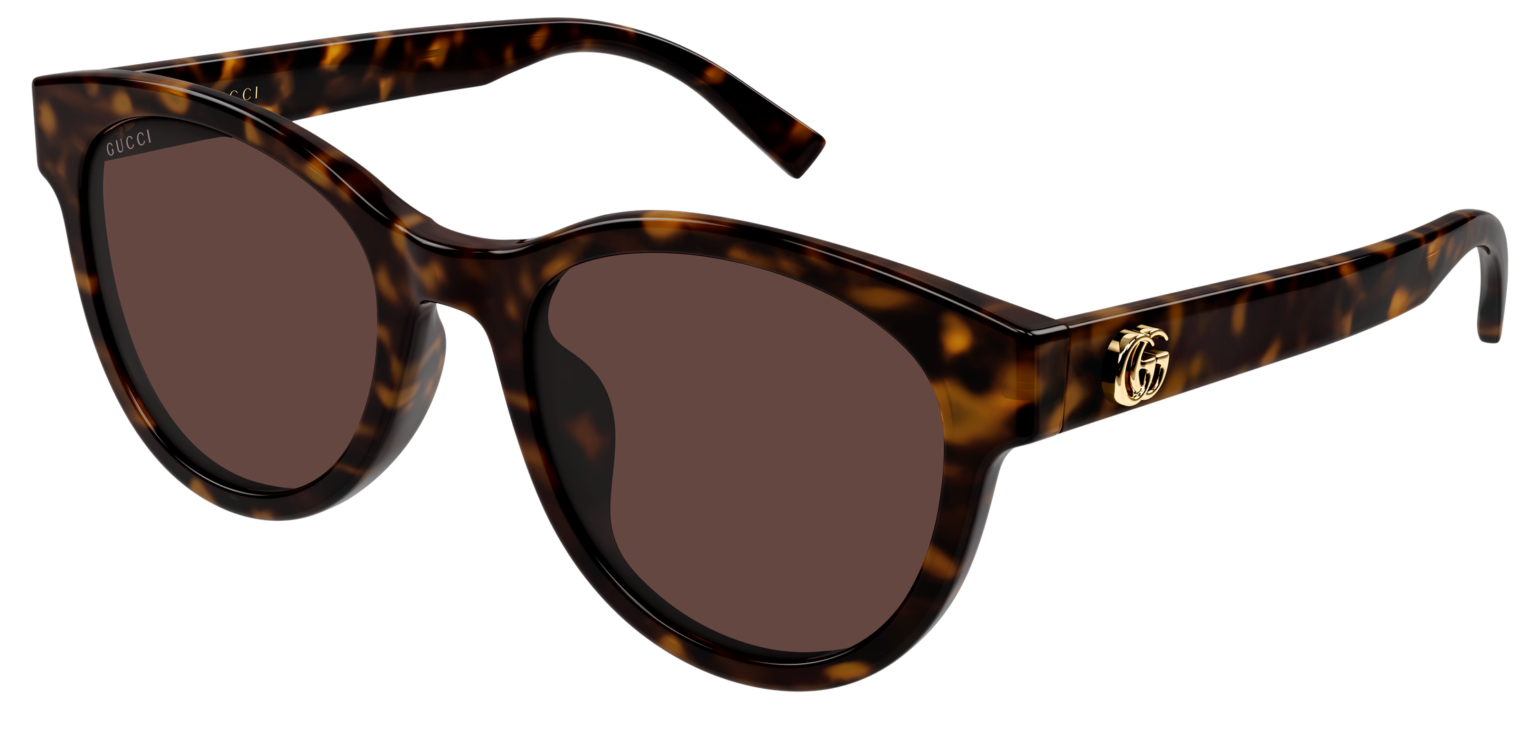 Color_GG2127SK-002 - HAVANA- HAVANA - BROWN