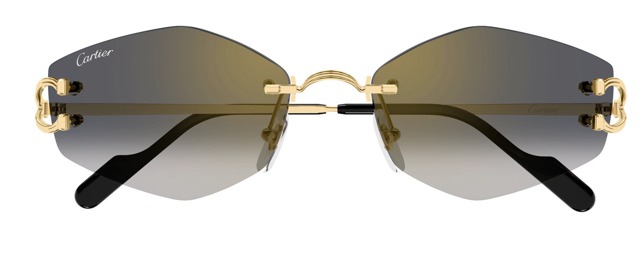 Color_CT0620S-001 - GOLD - GREY (AR)