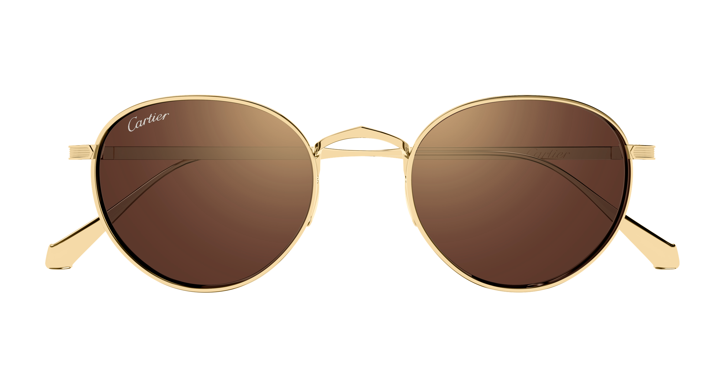 Color_CT0626S-002 - GOLD - GOLD - BROWN / (S 49mm - 21mm - 145mm)