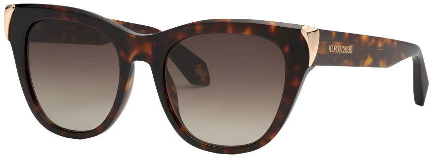 Color_0743 - SHINY BROWN/YELLOW HAVANA - BROWN GRADIENT