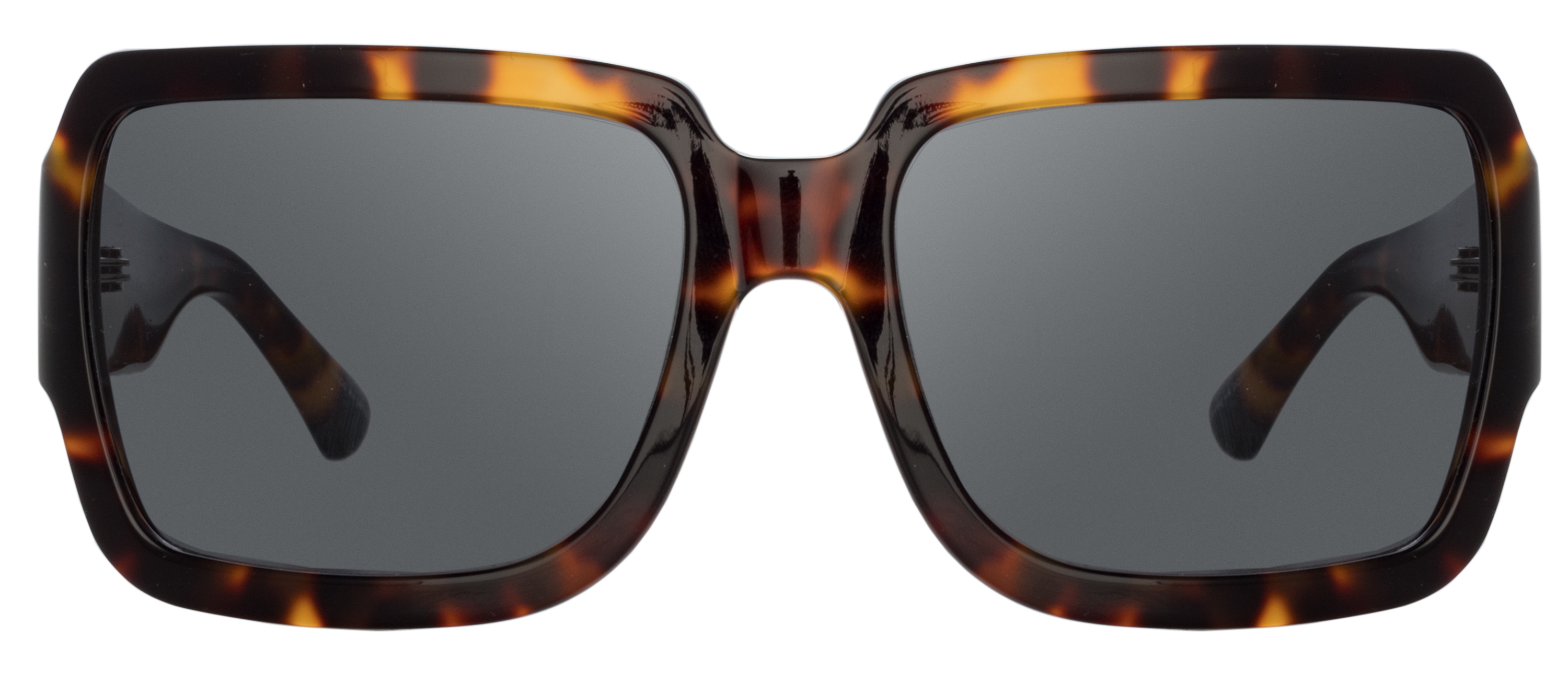Color_DVN213C3SUN - Dries Van Noten 213 Oversized Sunglasses in Tortoise Shell and Grey