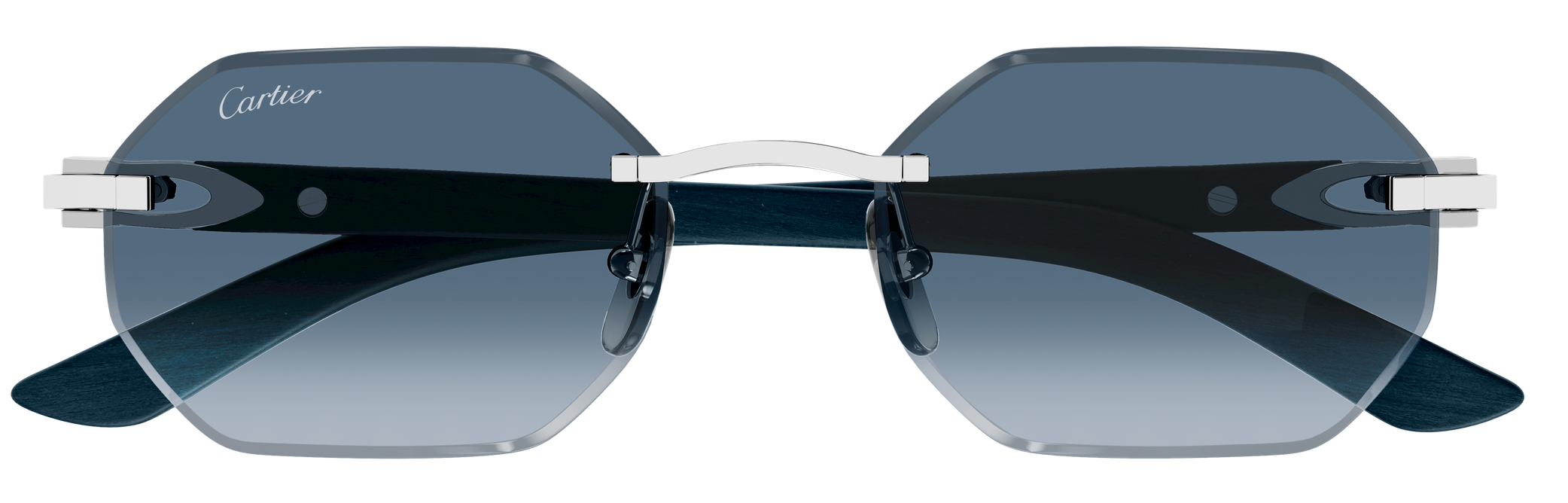 Color_CT0439S-007 - SILVER - BLUE