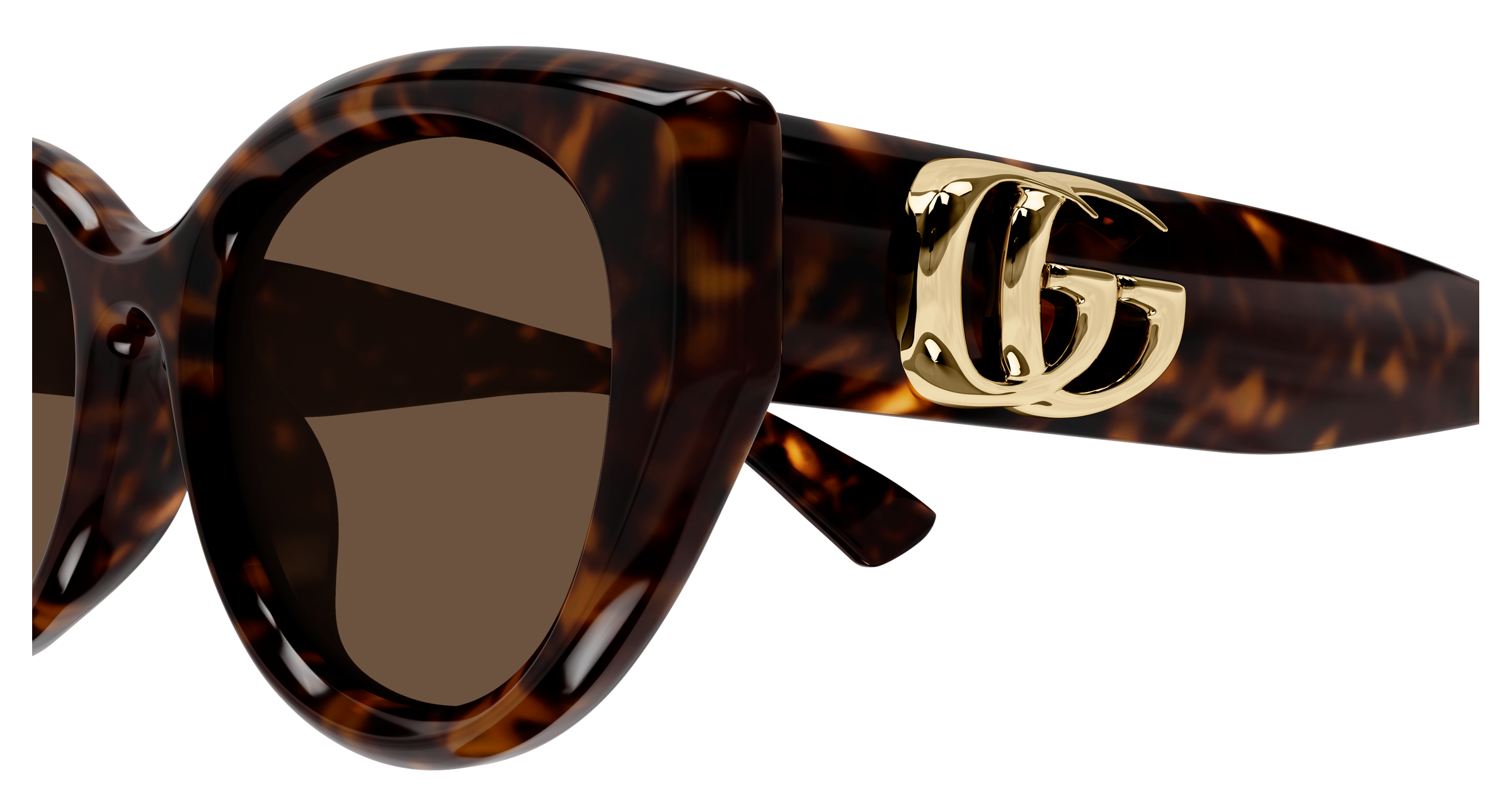 Color_GG1976SK-003 - HAVANA - HAVANA / BROWN