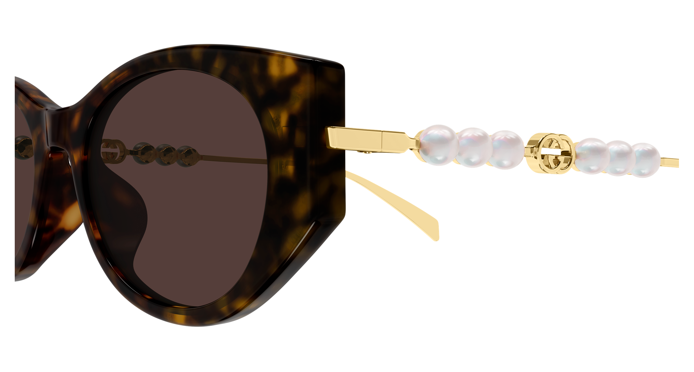 Color_GG1970SA-003 - HAVANA - GOLD / BROWN