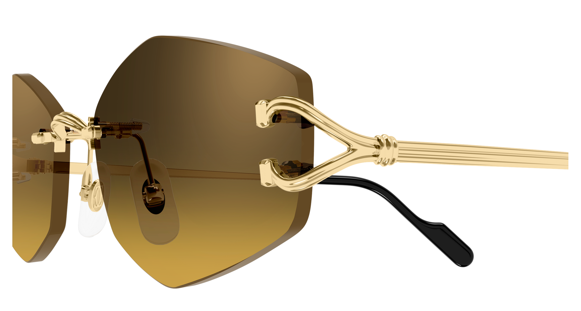 Color_CT0620S-003 - GOLD - BROWN (AR)