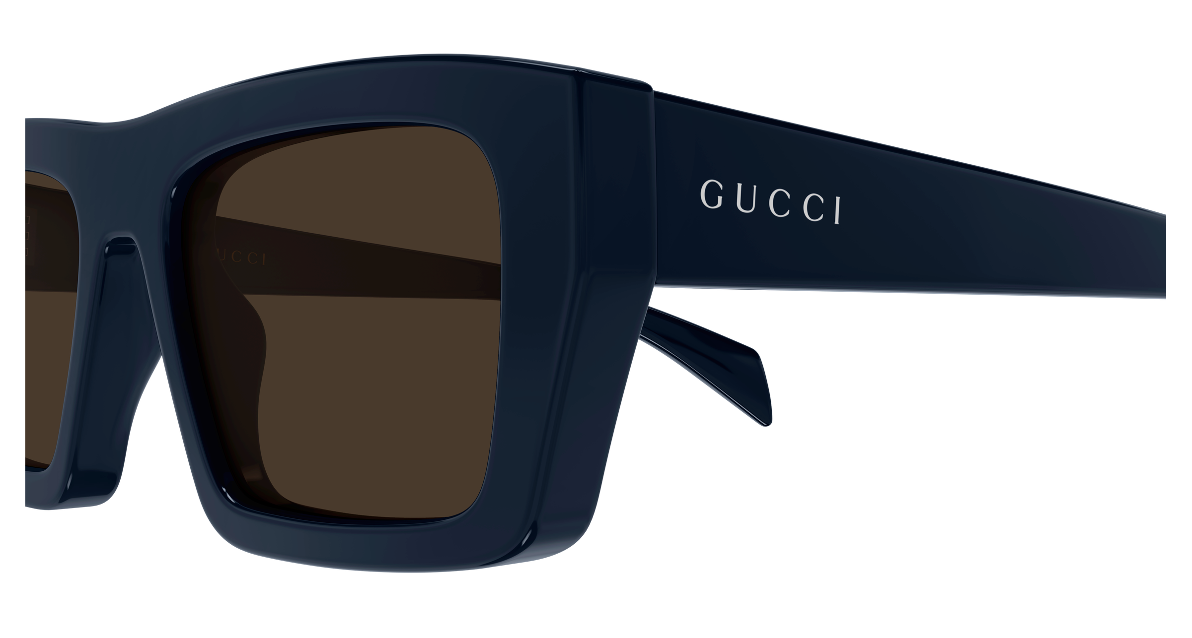 Color_GG2020S-003 - BLUE - BLUE - BROWN