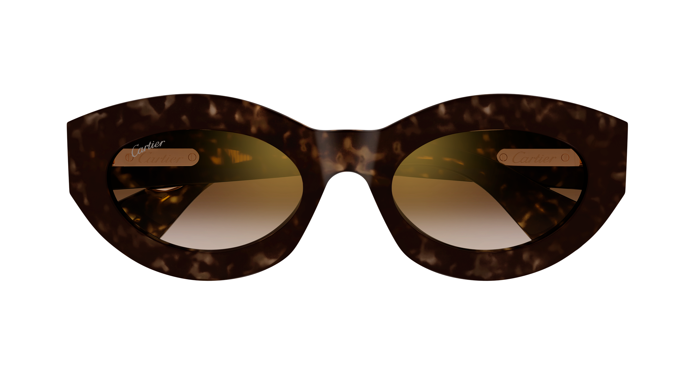 Color_CT0638S-002 - HAVANA - HAVANA - BROWN