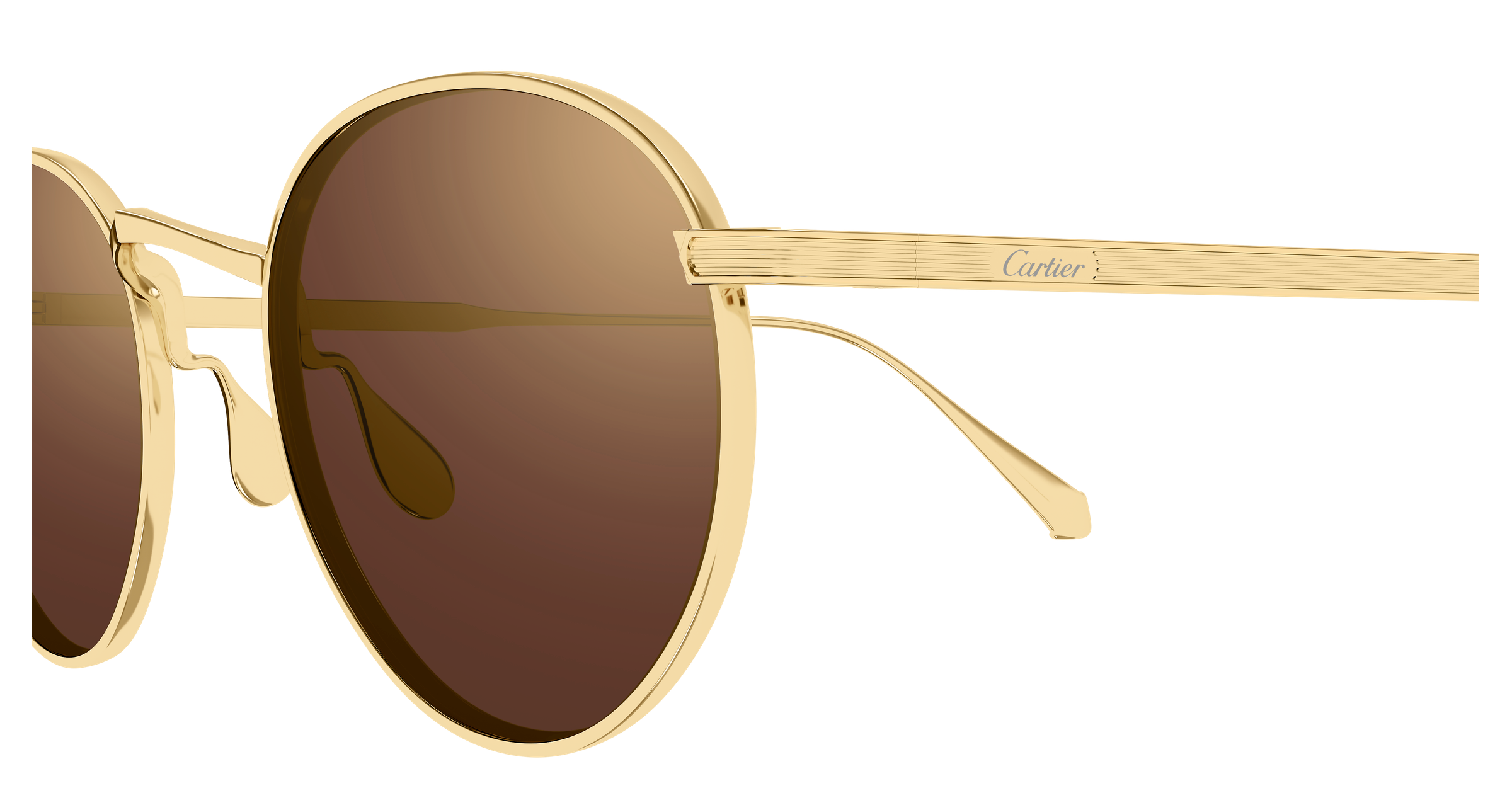 Color_CT0626S-007 - GOLD - GOLD - BROWN / (M 51mm - 21mm - 145mm)