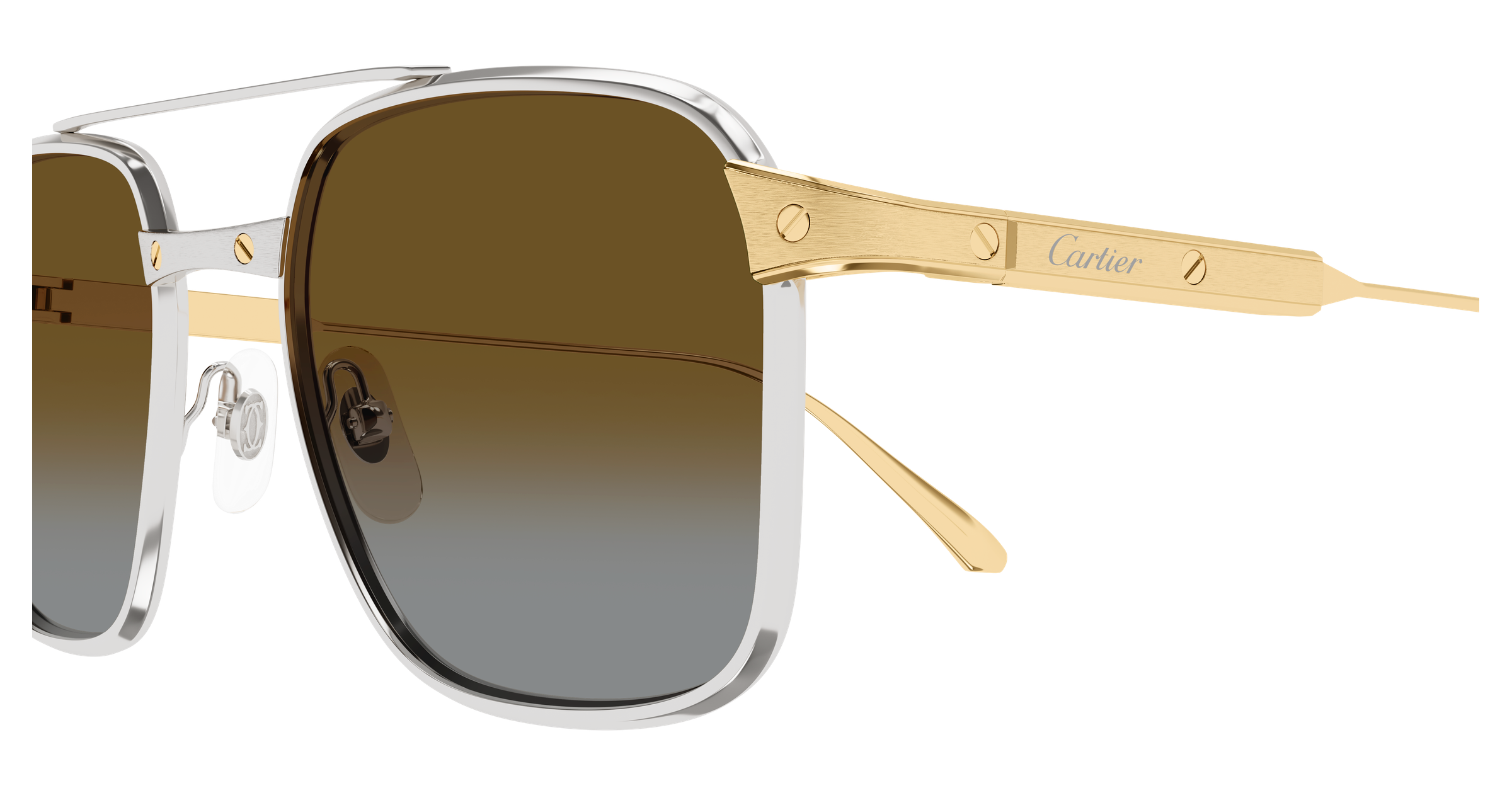 Color_CT0610S-003 - SILVER - GOLD - BROWN