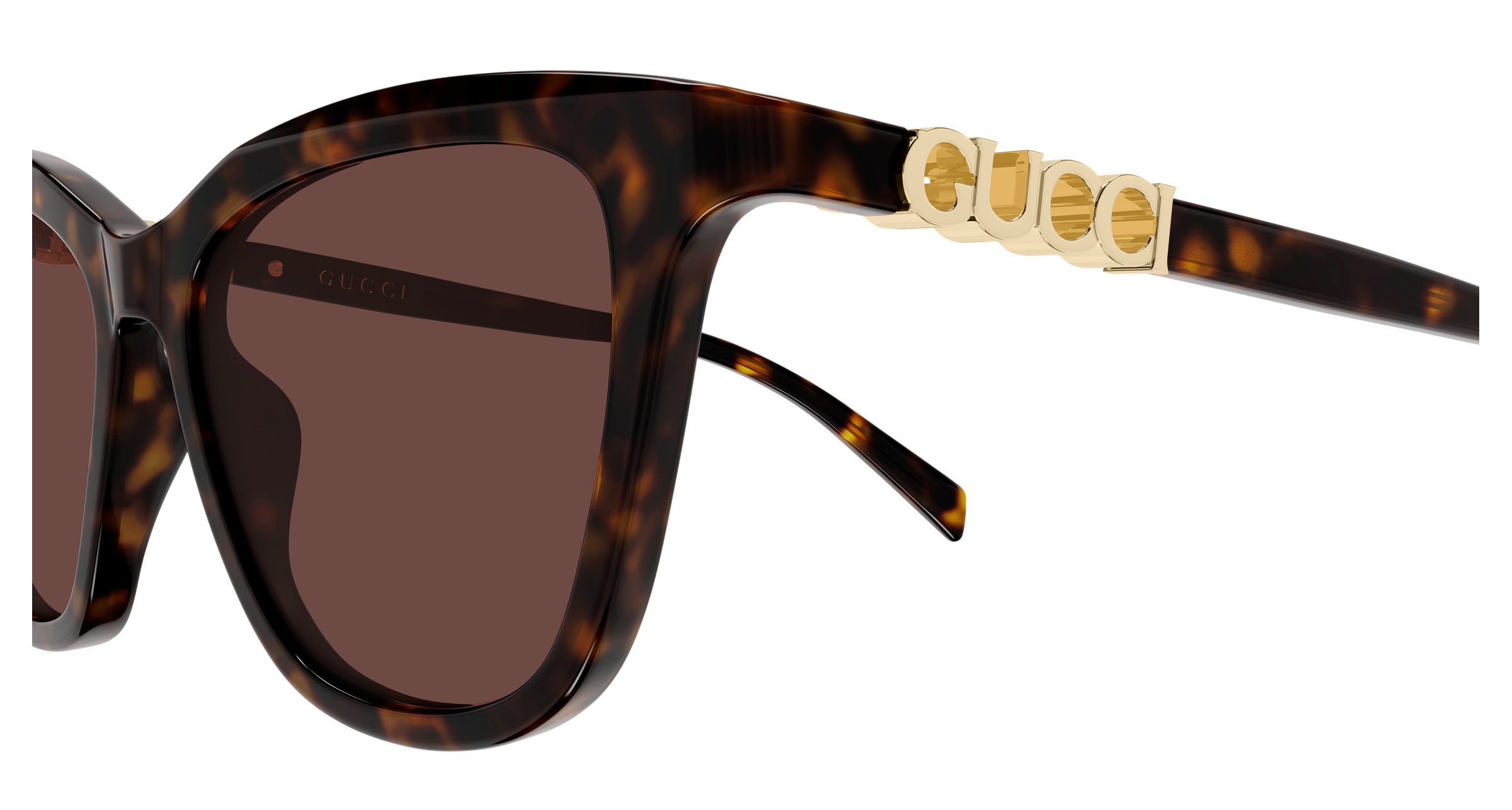 Color_GG2032S-002 - Havana - Havana - Brown