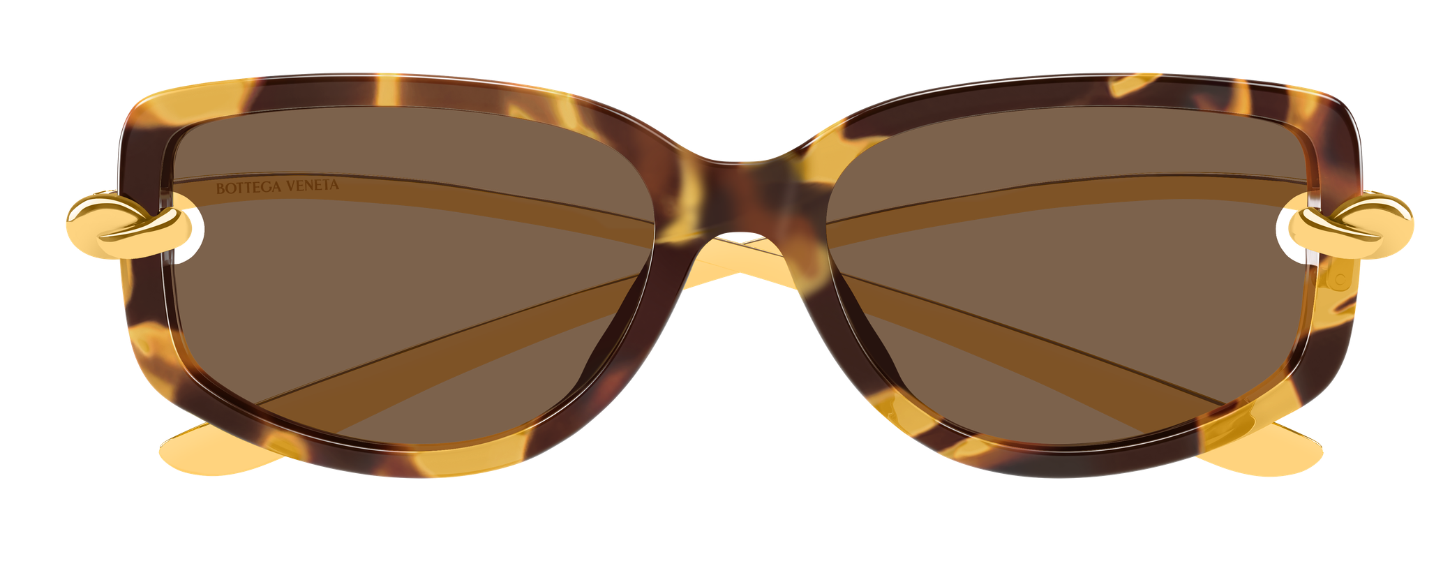 Color_BV1440SA-002 - HAVANA - GOLD - BROWN