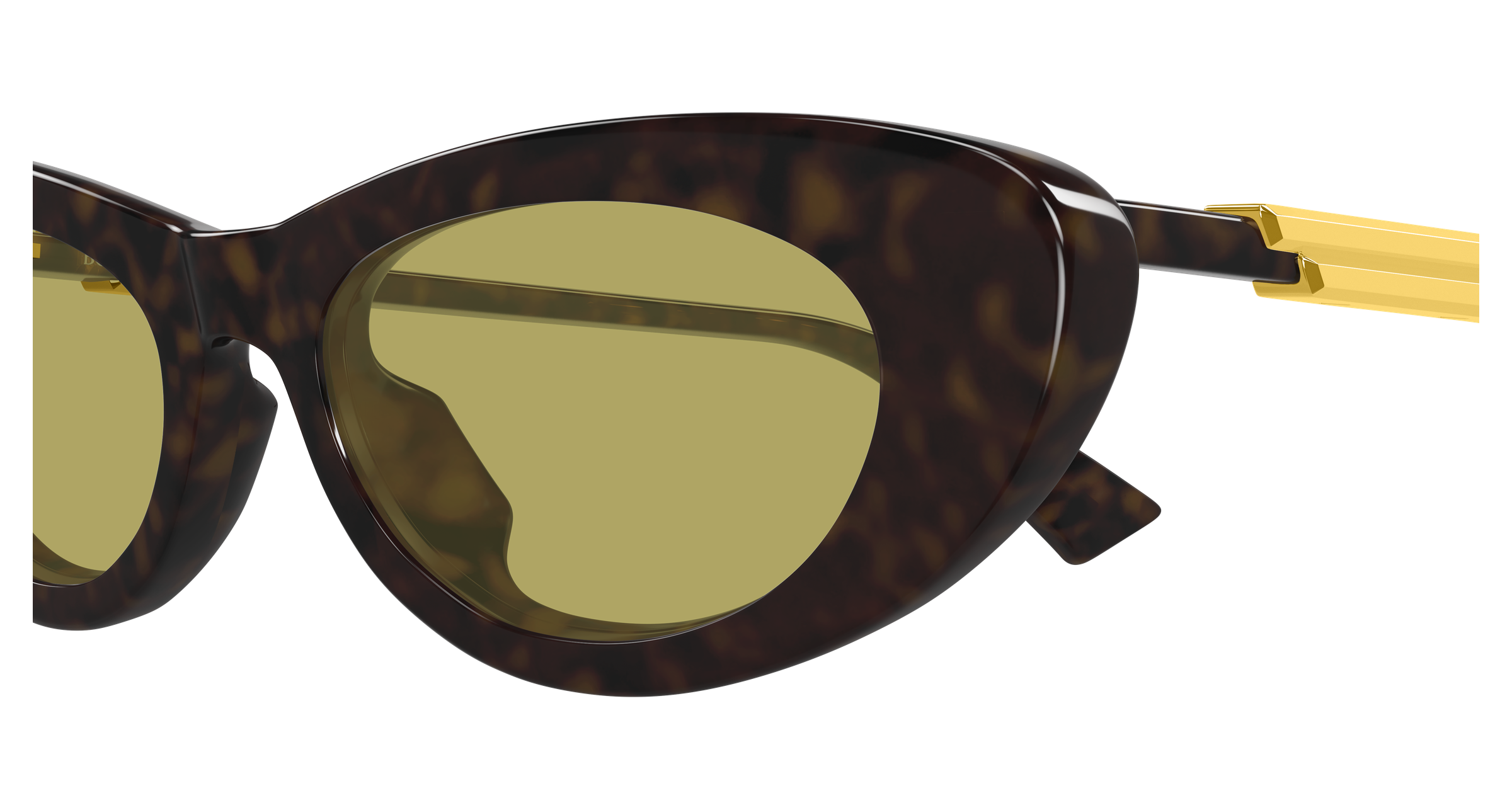 Color_BV1447S-002 - HAVANA - HAVANA - YELLOW