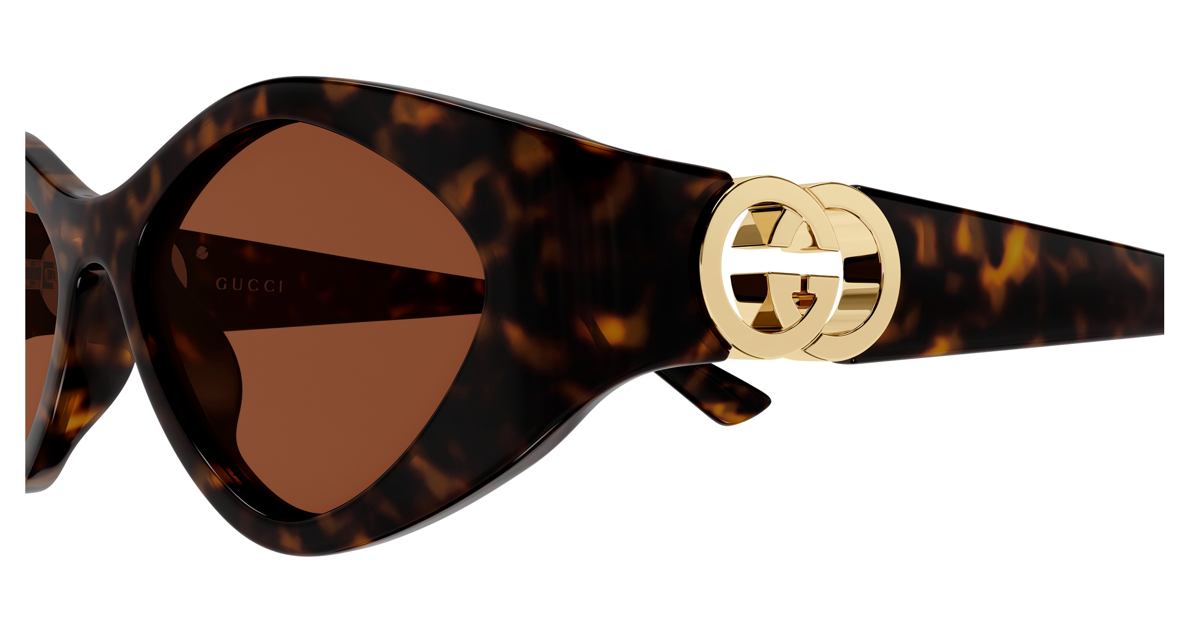 Color_GG2121S-003 - Havana - Havana - Brown