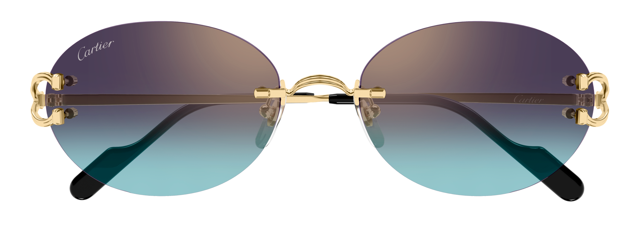 Color_CT0551S-008 - GOLD - VIOLET