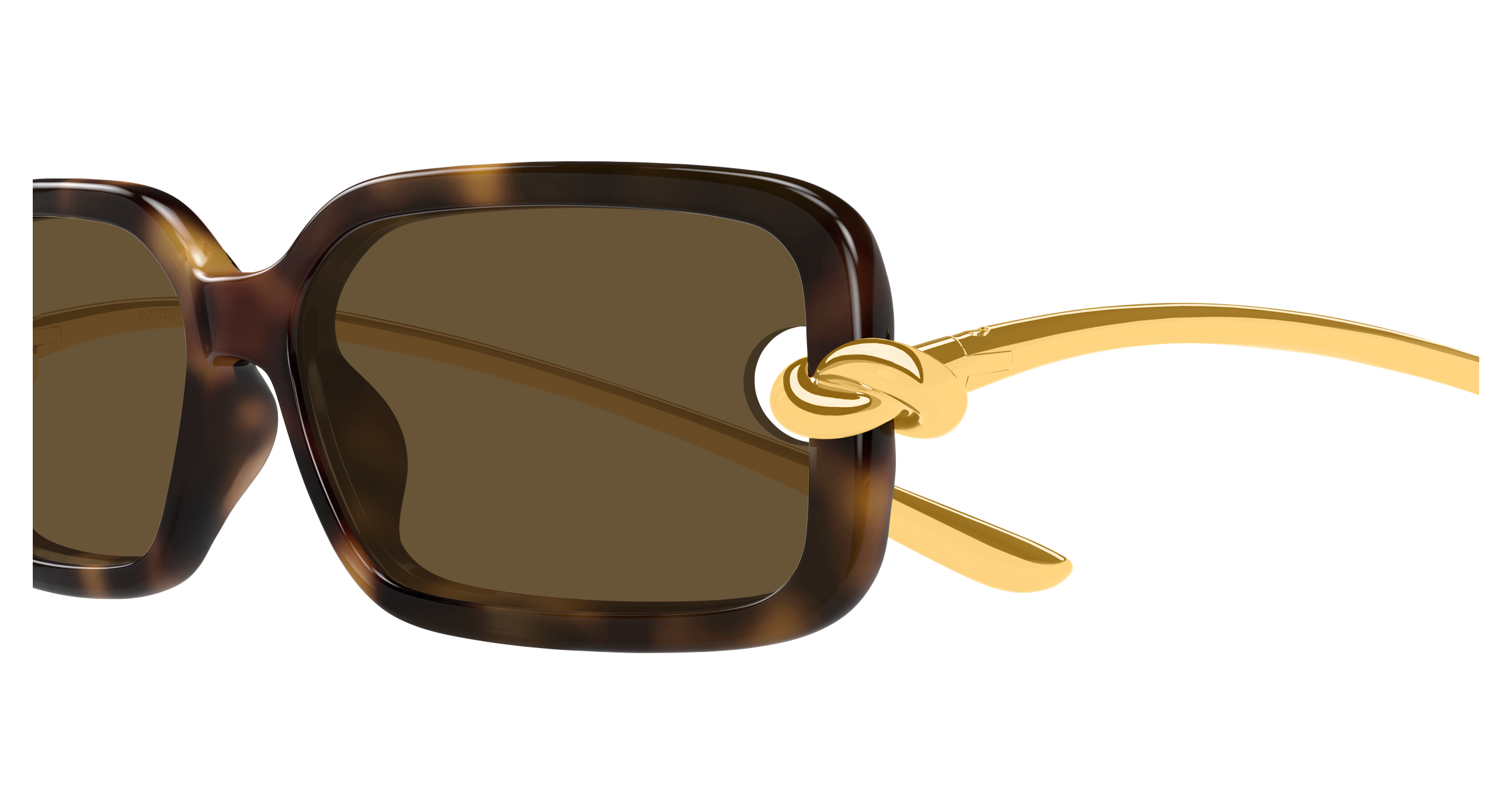 Color_BV1439S-002 - HAVANA - GOLD - BROWN