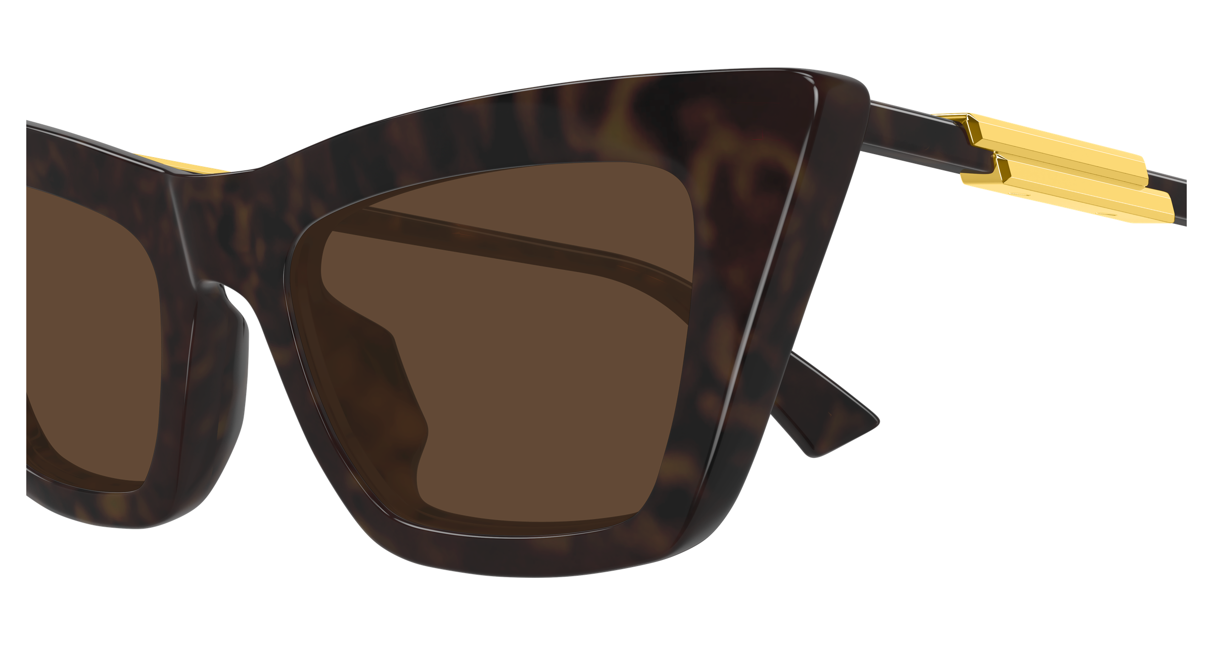 Color_BV1446S-002 - HAVANA - HAVANA - BROWN