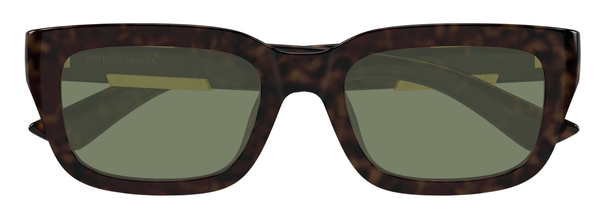 Color_BV1453SA-002 - HAVANA - HAVANA - GREEN