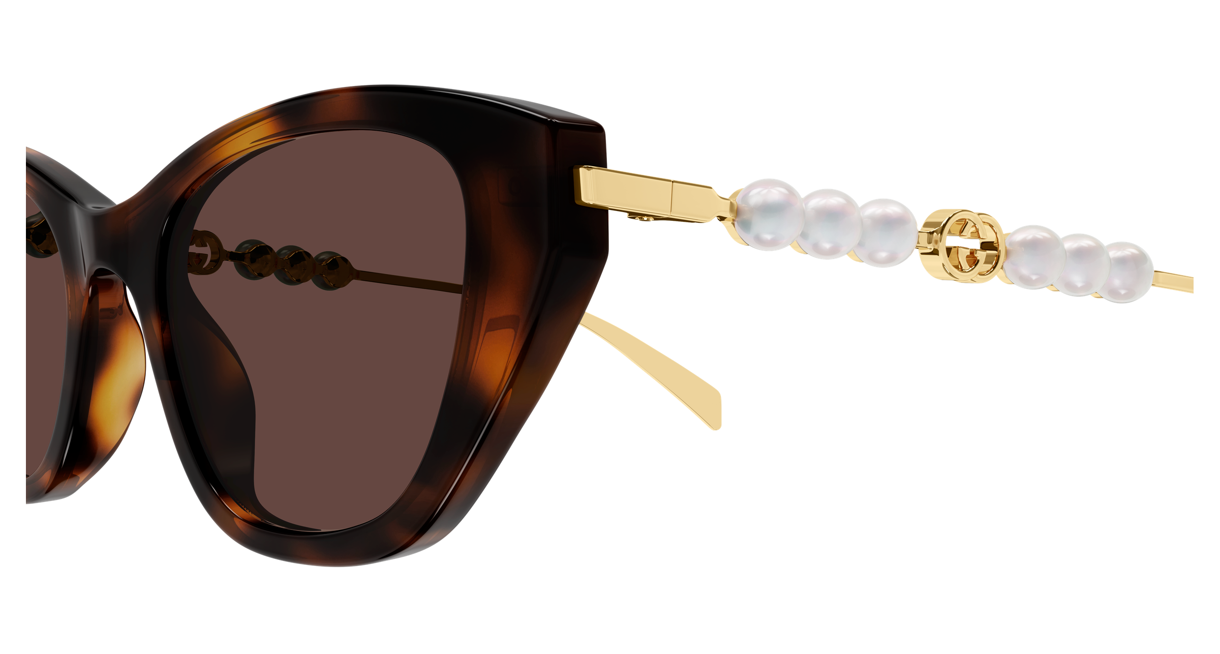 Color_GG1968S-003 - HAVANA - GOLD / BROWN