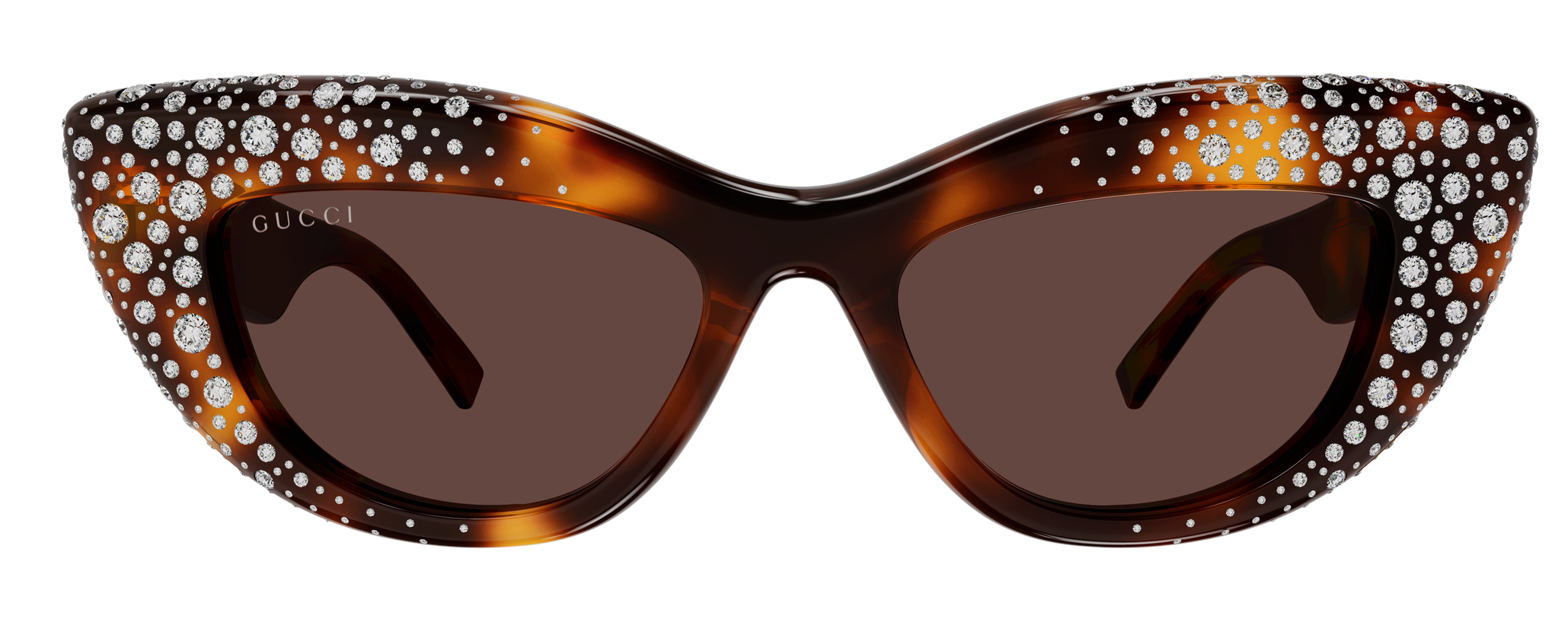 Color_GG2031S-006 - Havana - Havana - Brown