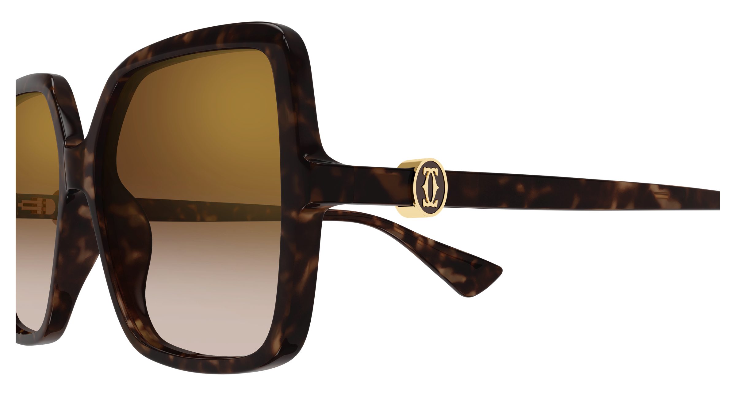 Color_CT0641S-002 - HAVANA - HAVANA - BROWN