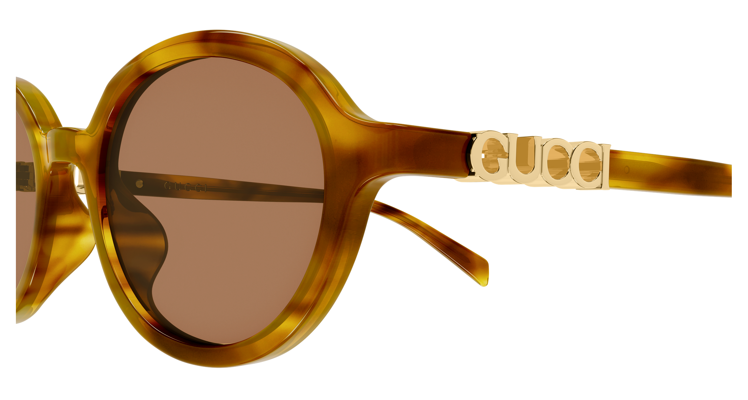 Color_GG2033SA-003 - Havana - Havana - Brown