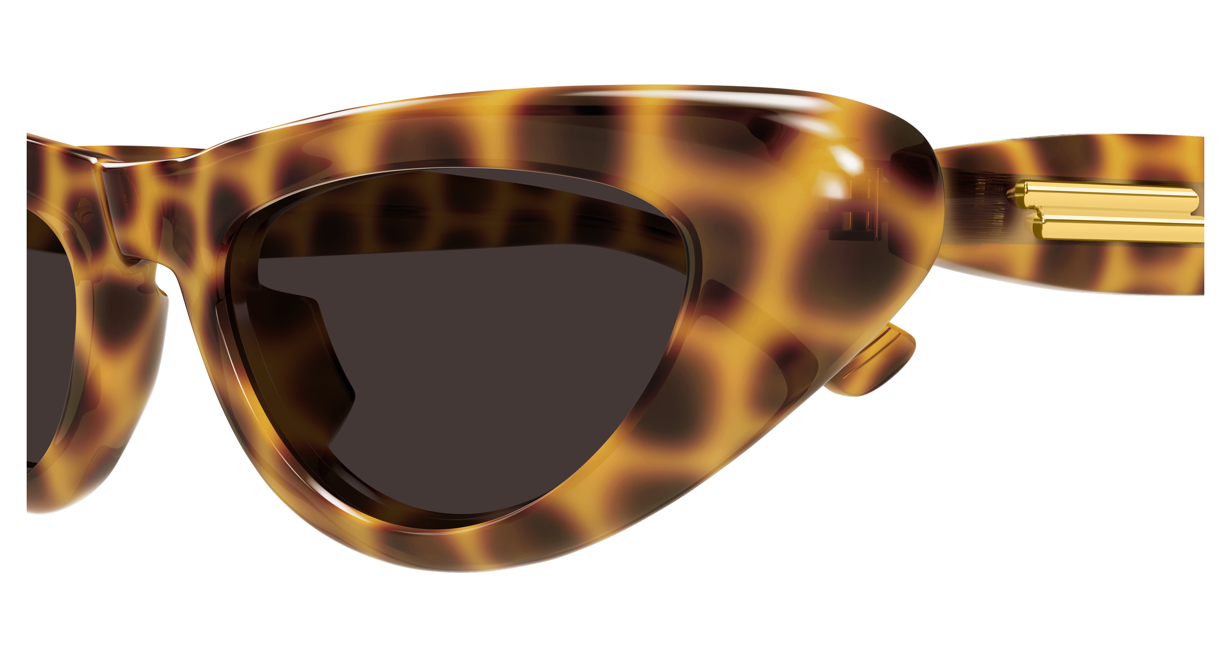 Color_BV1450S-002 - HAVANA - HAVANA - BROWN