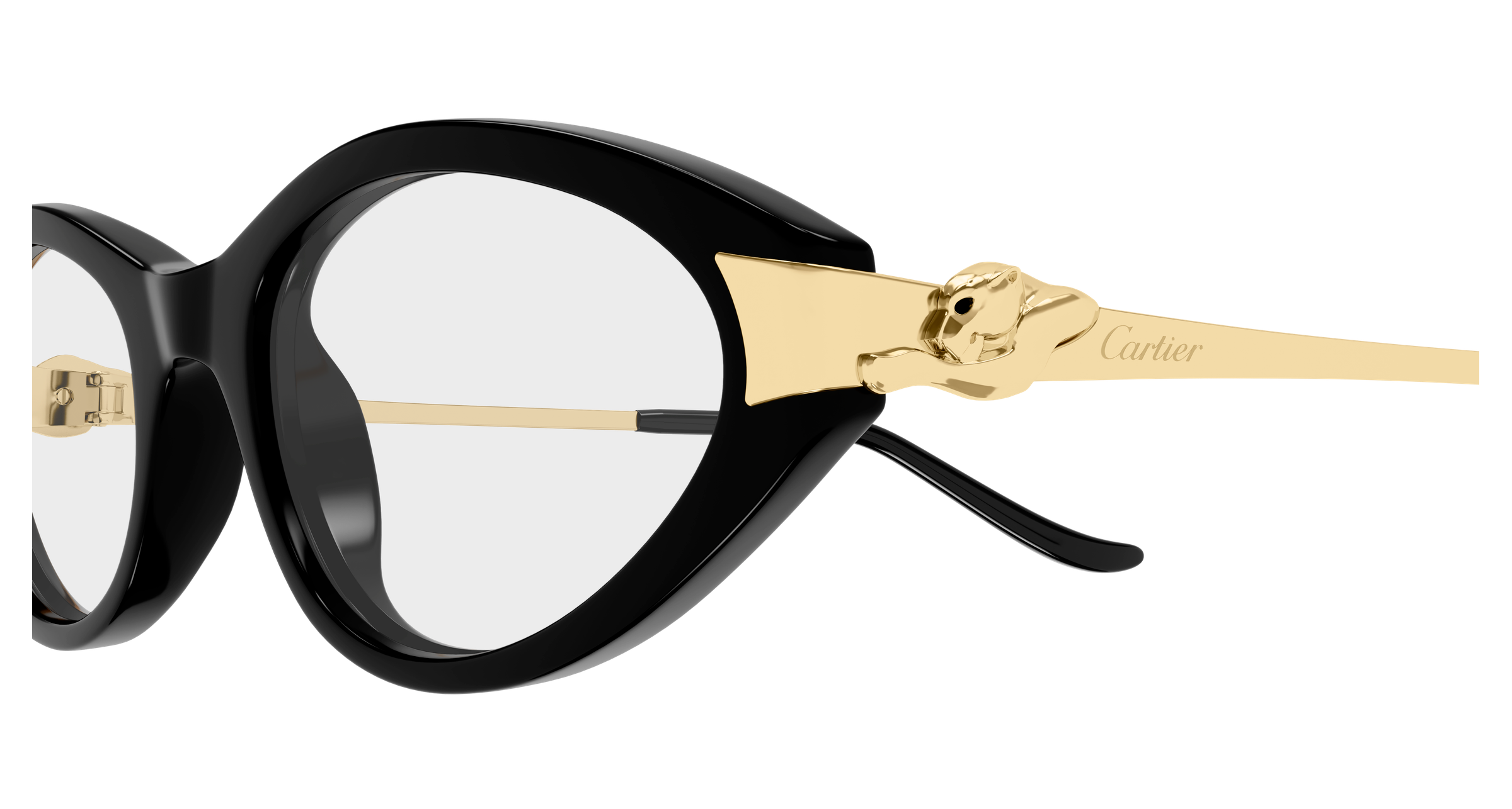 Color_CT0633O-001 - BLACK - GOLD - TRANSPARENT