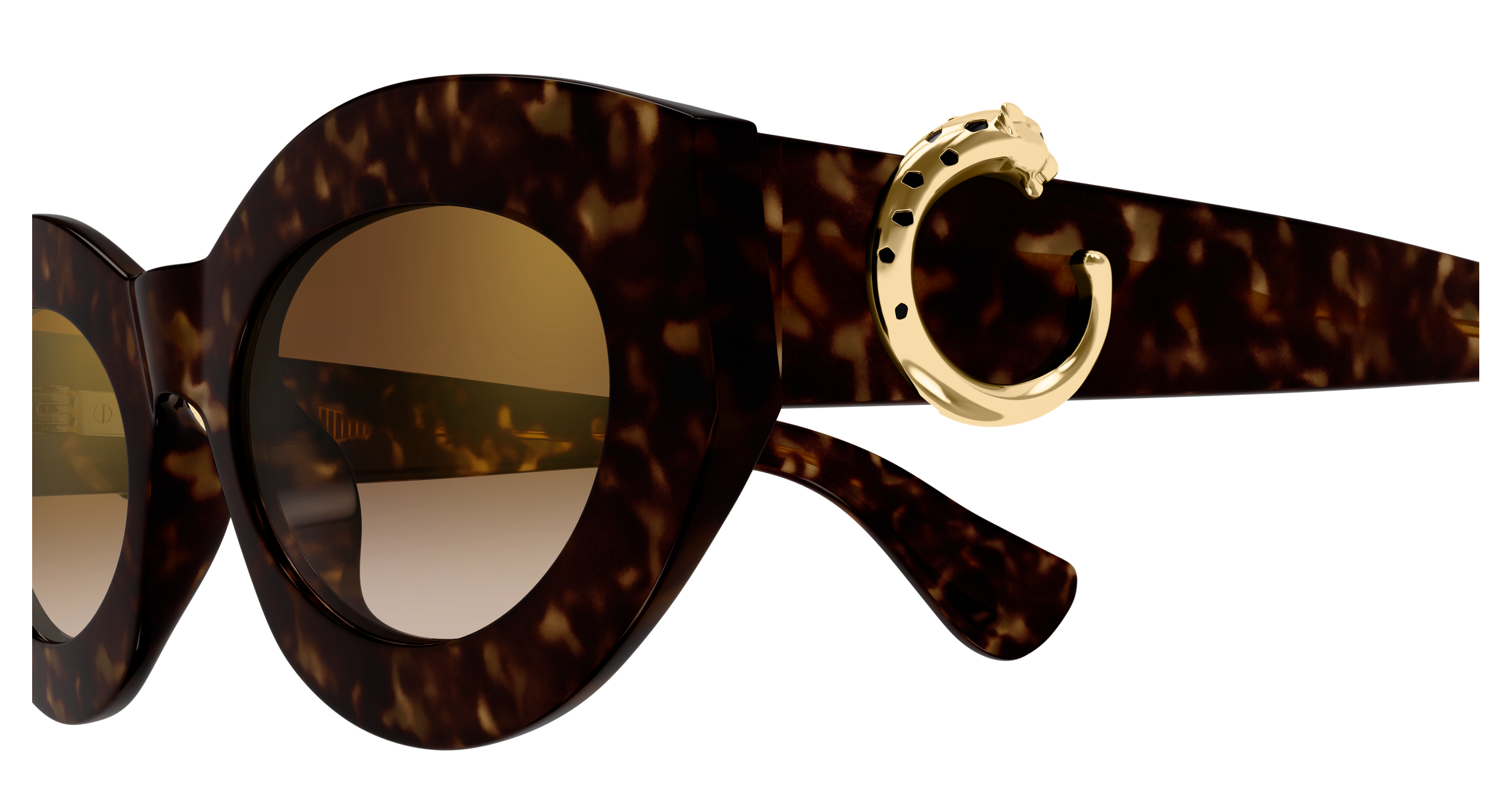 Color_CT0638S-002 - HAVANA - HAVANA - BROWN
