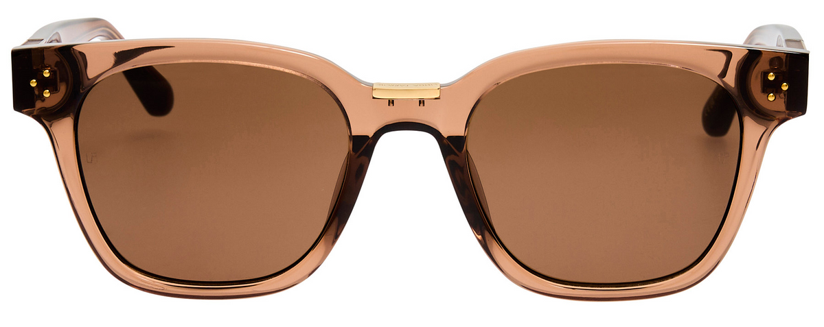 Color_LFL1481C8SUN - Sanchez D-Frame Sunglasses in Brown and Brown