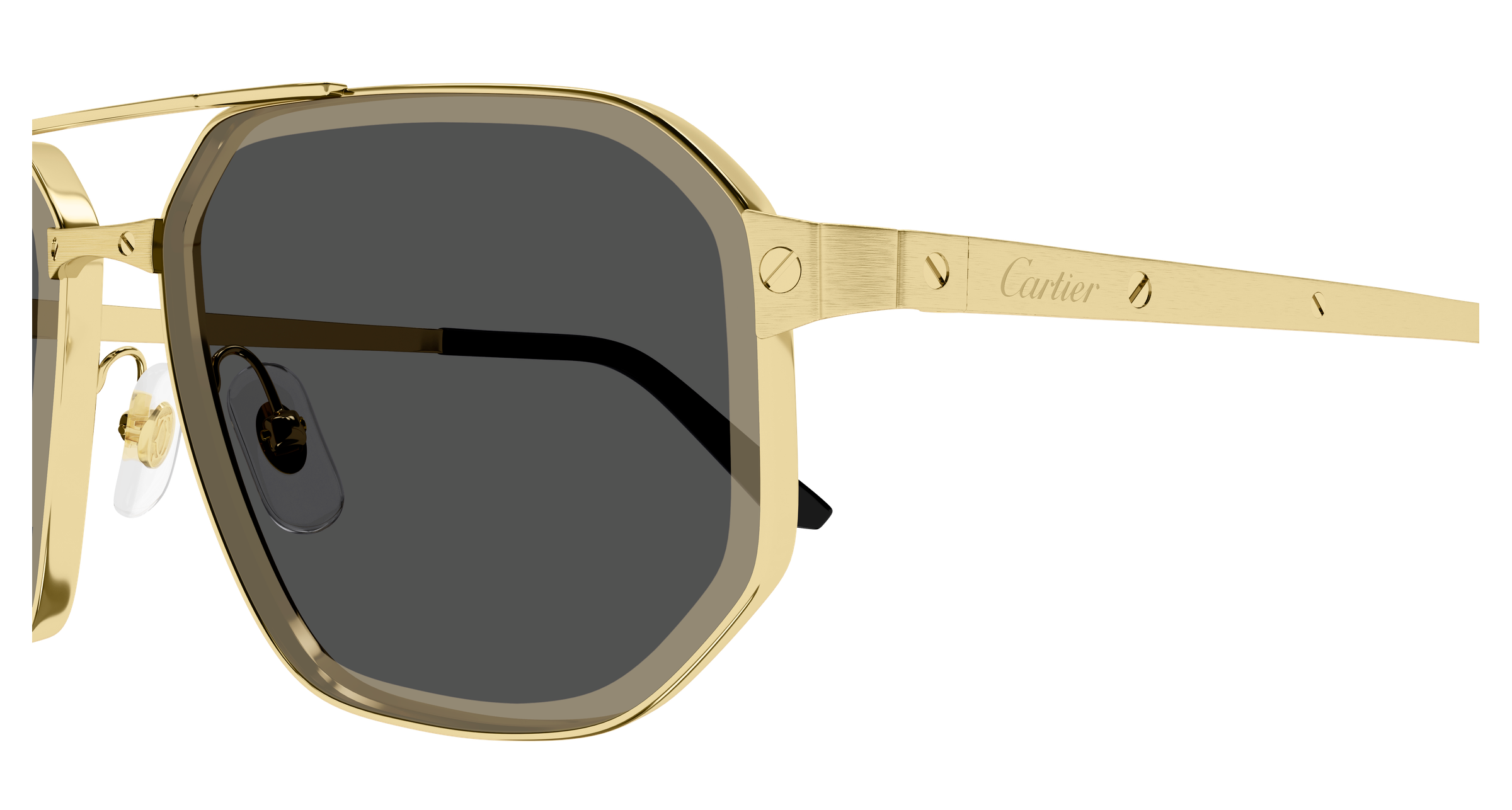 Color_CT0462S-005 - GOLD - GREY