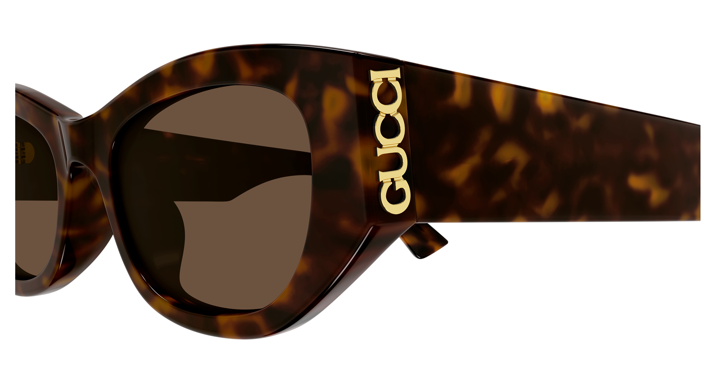 Color_GG2044SA-002 - Havana - Havana - Brown