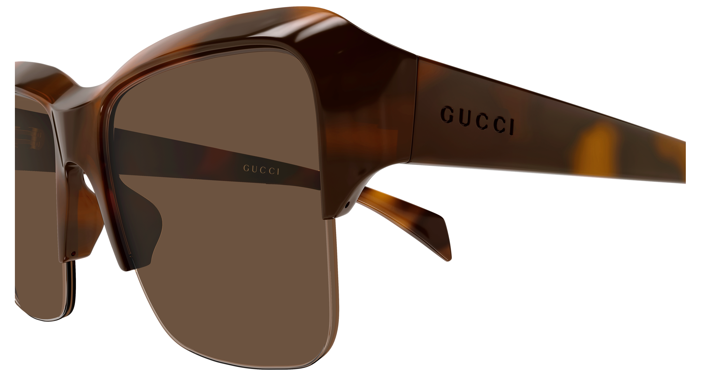 Color_GG2024S-002 - Havana - Havana - Brown