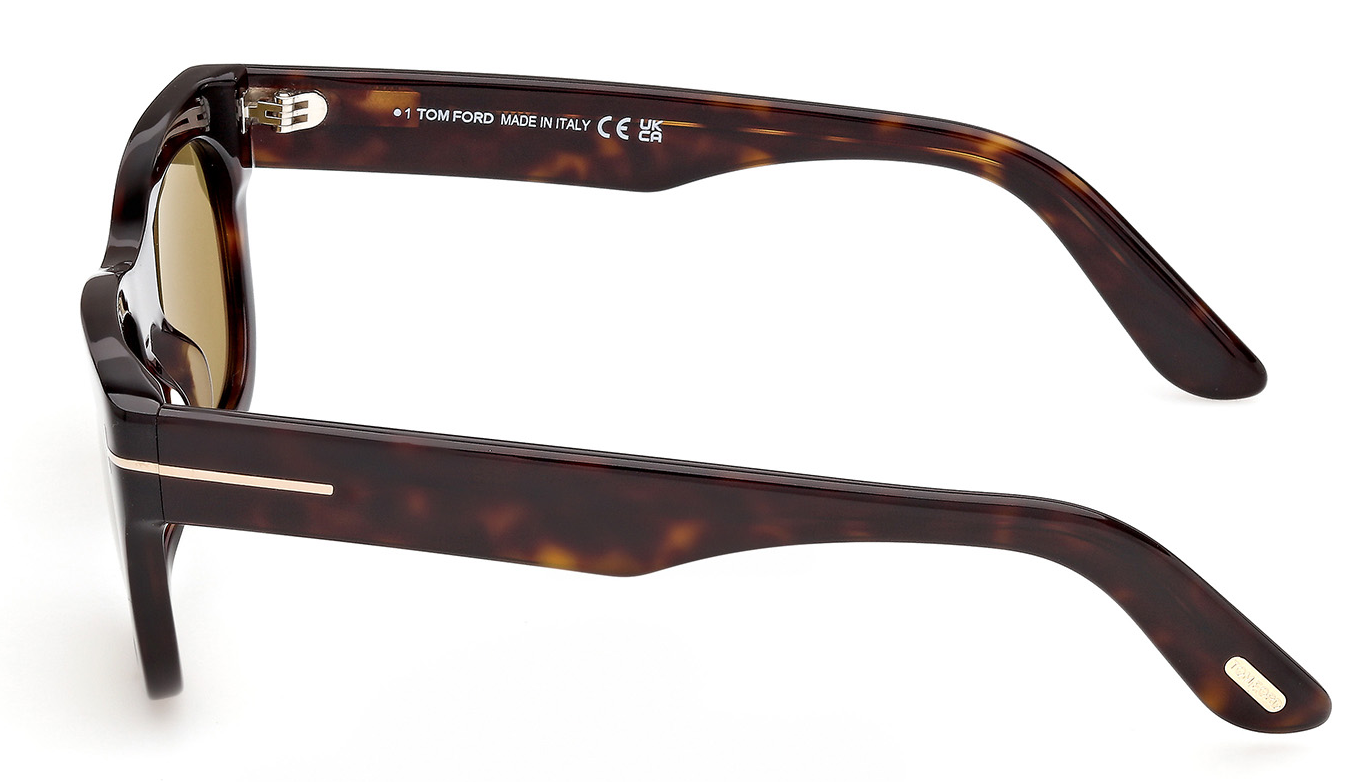 Color_52N - Dark Havana - Dark Havana / Green Cat. 2