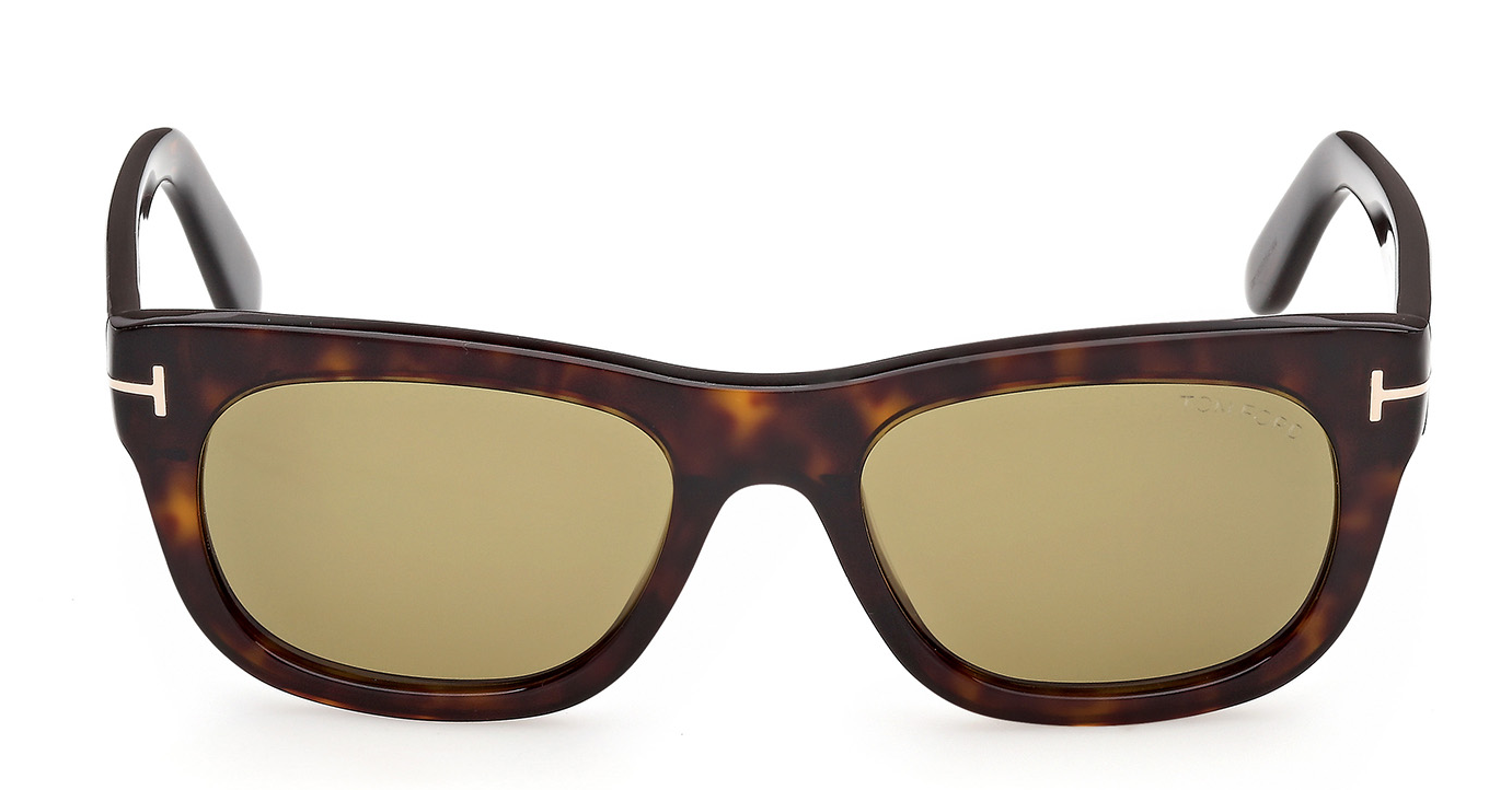 Color_52N - Dark Havana - Dark Havana / Green Cat. 2