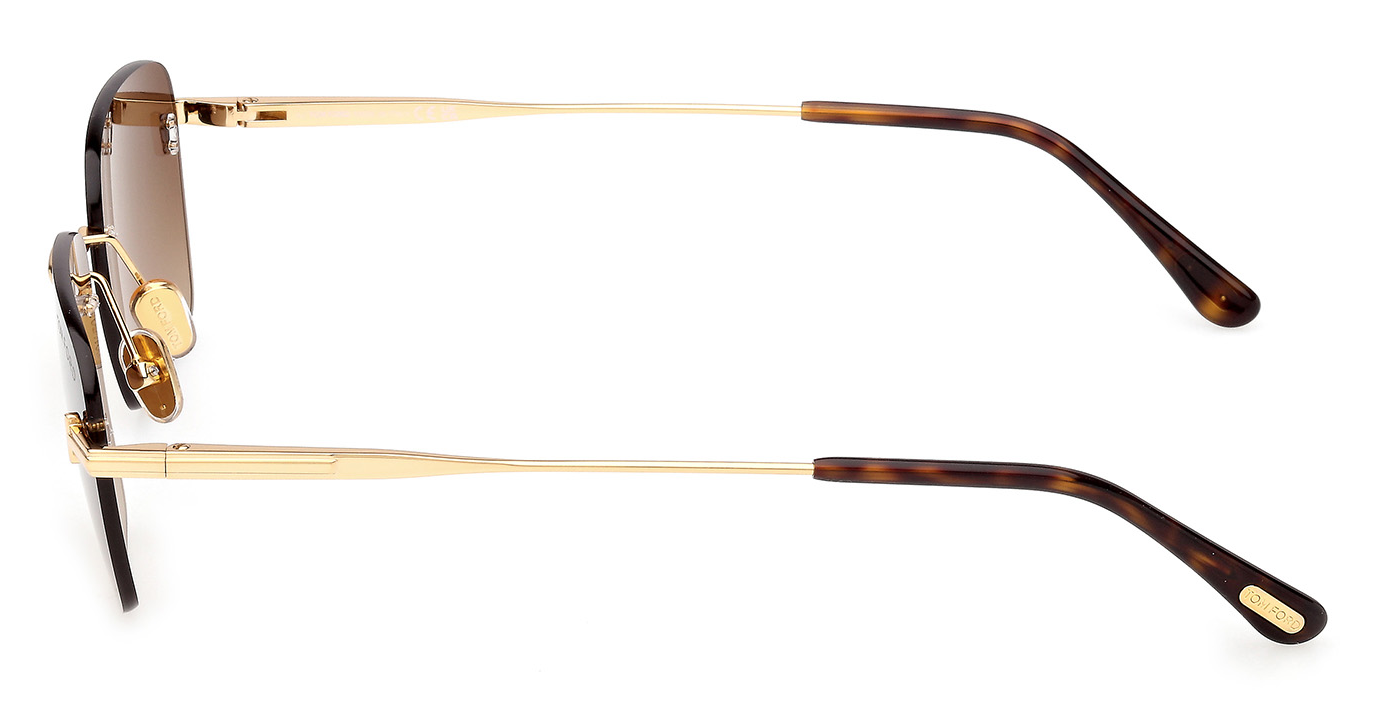 Color_30F - Shiny Deep Gold - Shiny Deep Gold / Brown Gradient