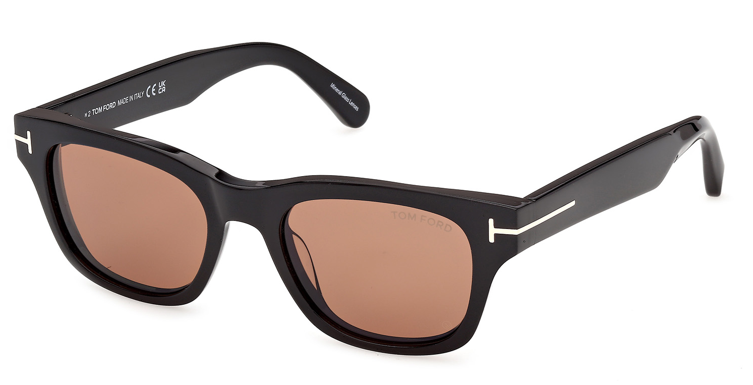 Color_01E - Shiny Black - Shiny Black / Brown Cat. 2