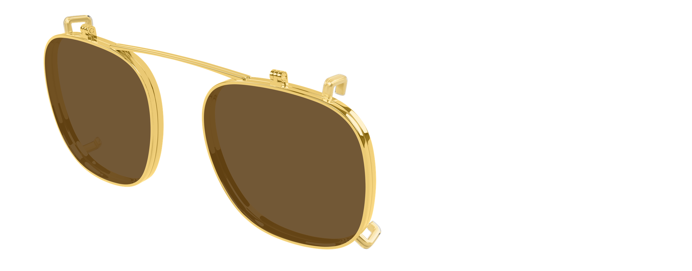 Color_BV1429S-002 - BROWN - TRANSPARENT 