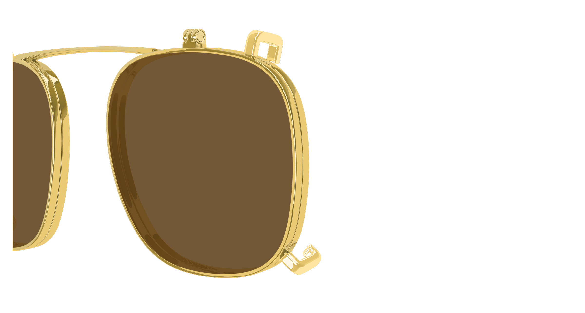 Color_BV1429S-002 - BROWN - TRANSPARENT 