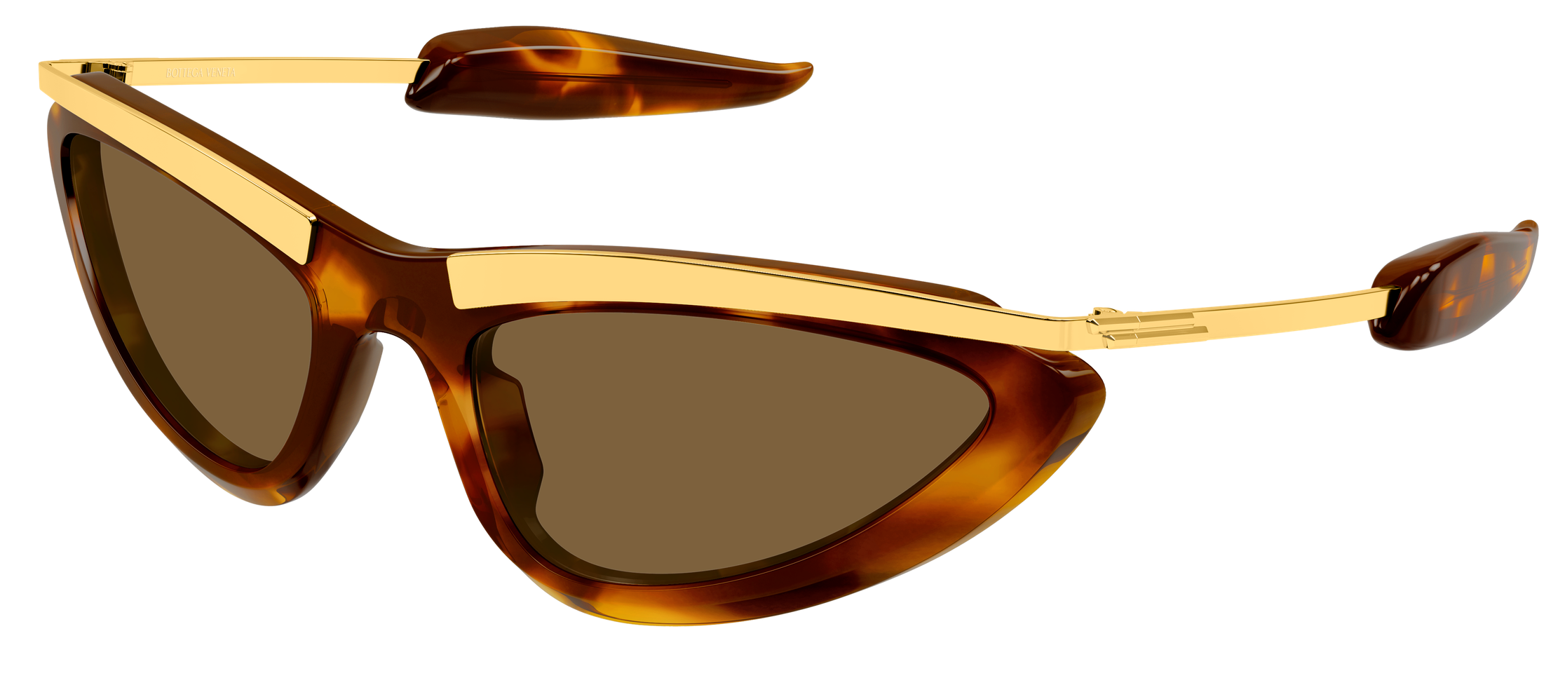 Color_BV1477S-003 - HAVANA - GOLD - BROWN