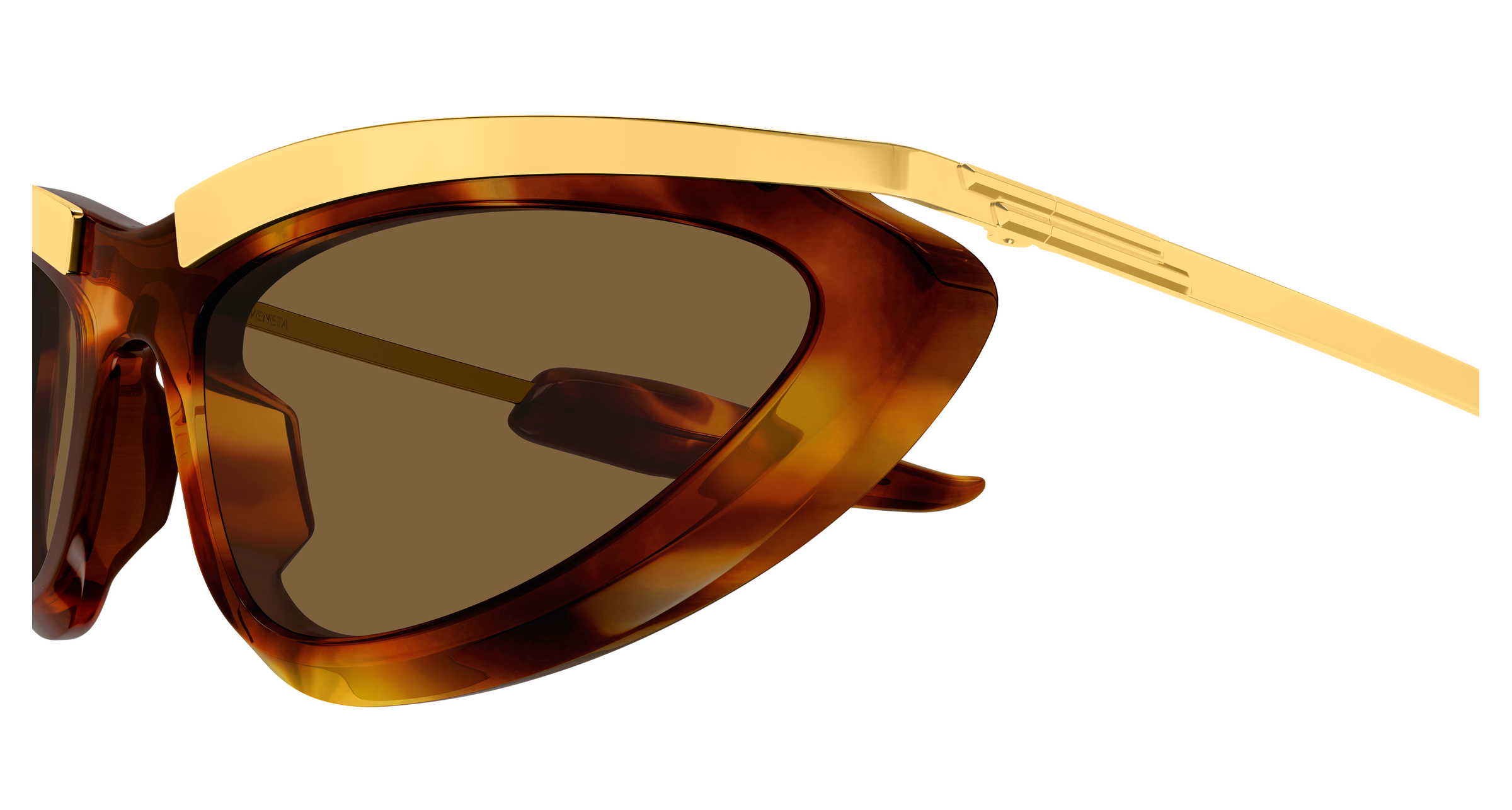 Color_BV1477S-003 - HAVANA - GOLD - BROWN
