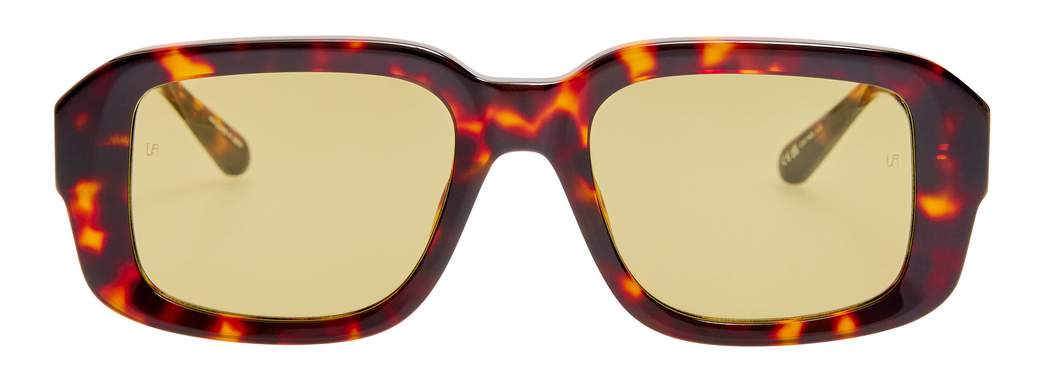 Color_LFL1661C2SUN - Delmare Oversized Sunglasses Tortoise Shell and Green Photocrome