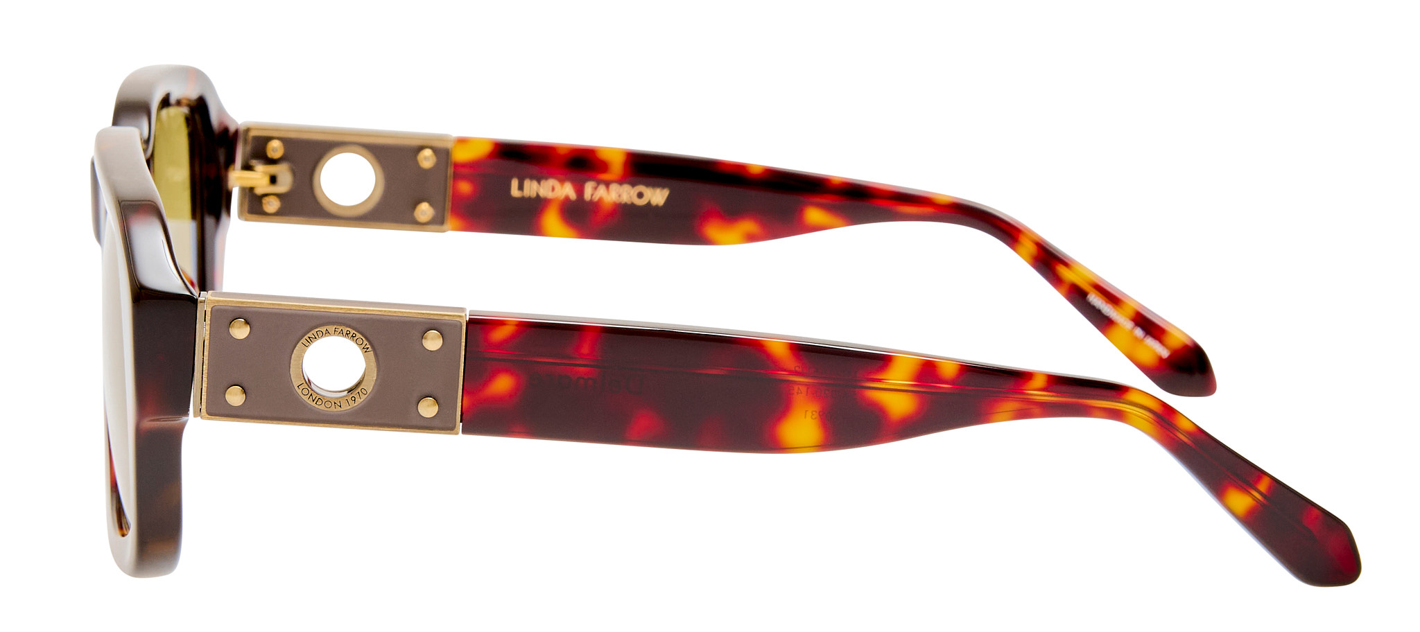 Color_LFL1661C2SUN - Delmare Oversized Sunglasses Tortoise Shell and Green Photocrome