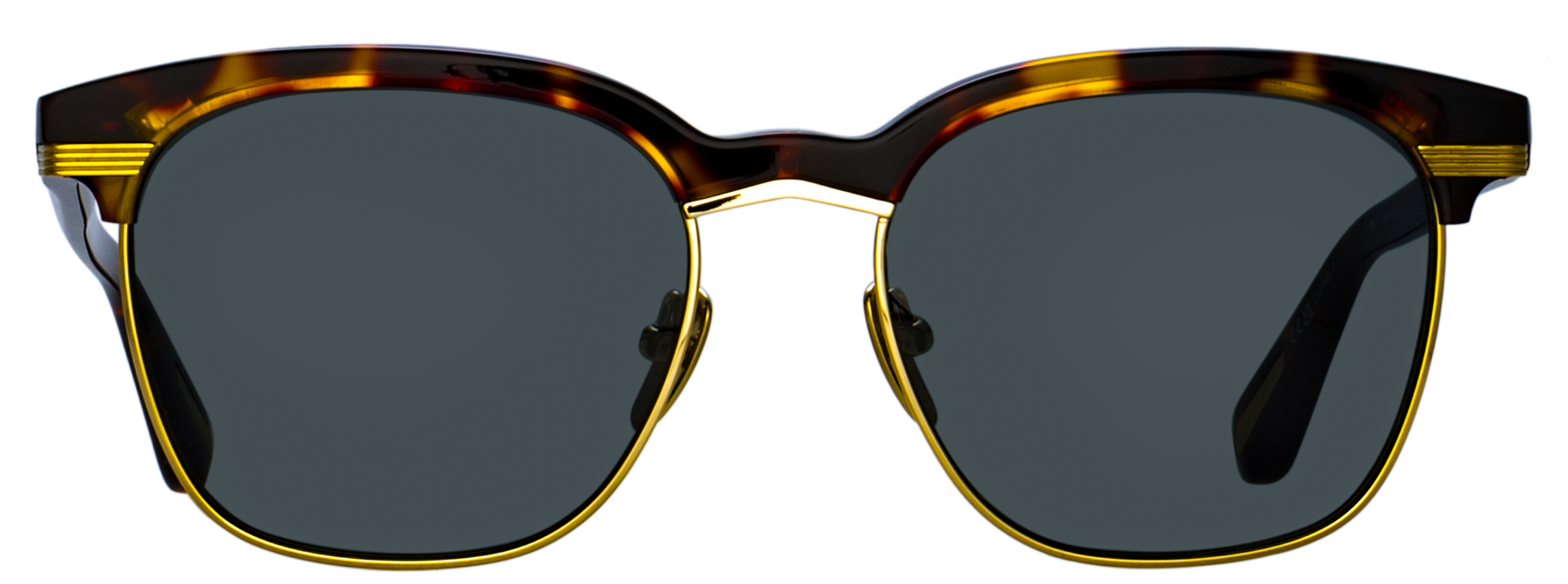 Color_LFL1518C2SUN - Darin D-Frame Sunglasses in Tortoise Shell and Deep Green
