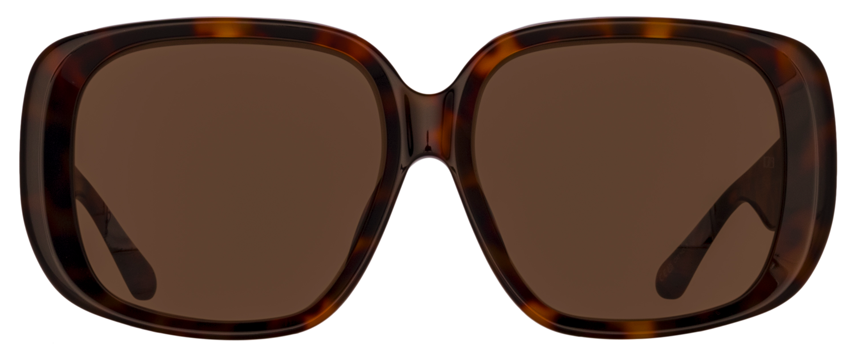 Color_LFL1529C2SUN - Astrid Oversized Sunglasses in Tortoise Shell and Brown