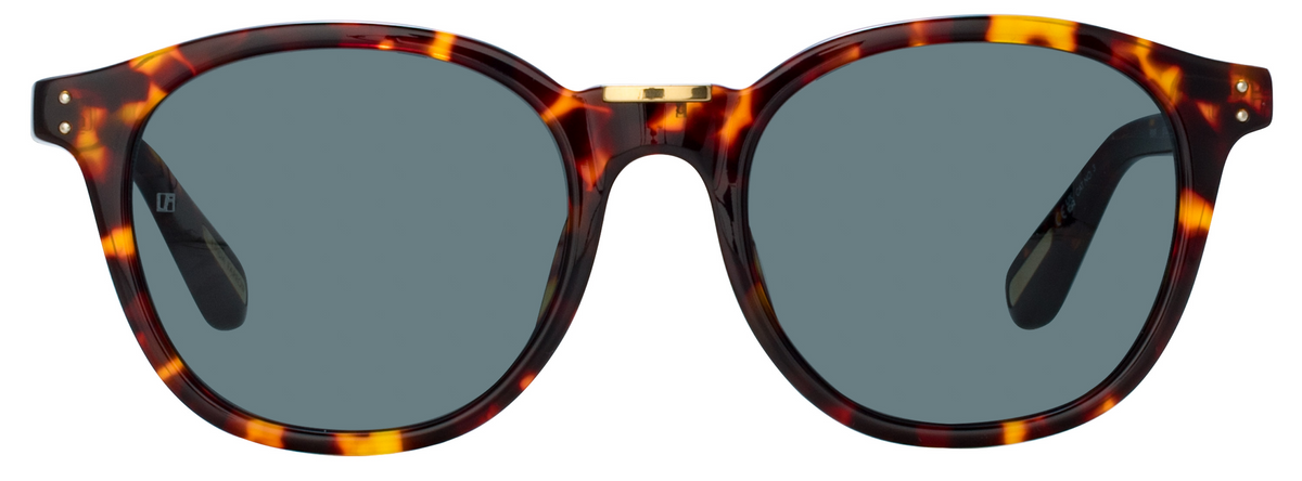Color_LFL1480C5SUN - Powell D-Frame Sunglasses in Tortoise Shell and Deep Green