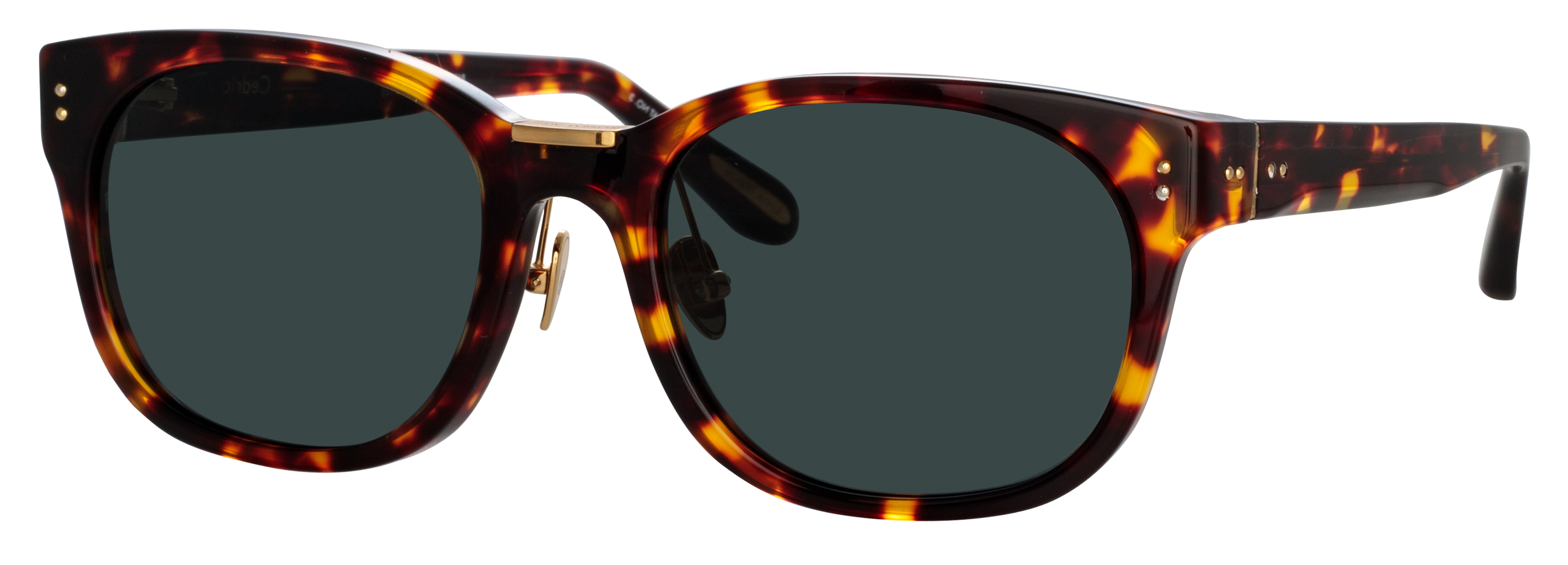 Color_LFL1275AC10SUN - Cedric D-Frame Sunglasses in Tortoise Shell and Deep Green