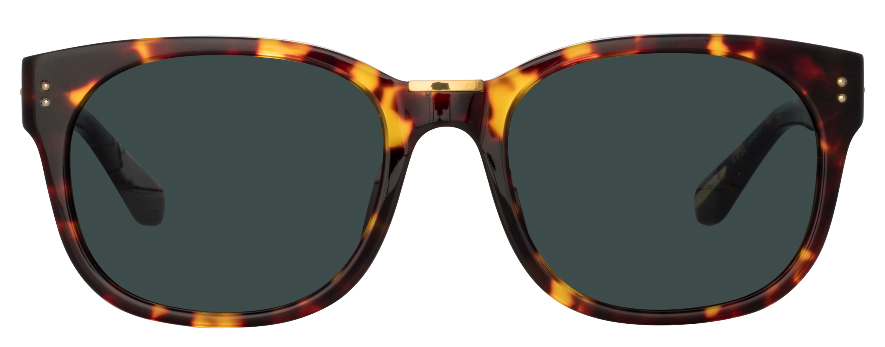 Color_LFL1275C5SUN - Cedric D-Frame Sunglasses in Tortoise Shell and Deep Green