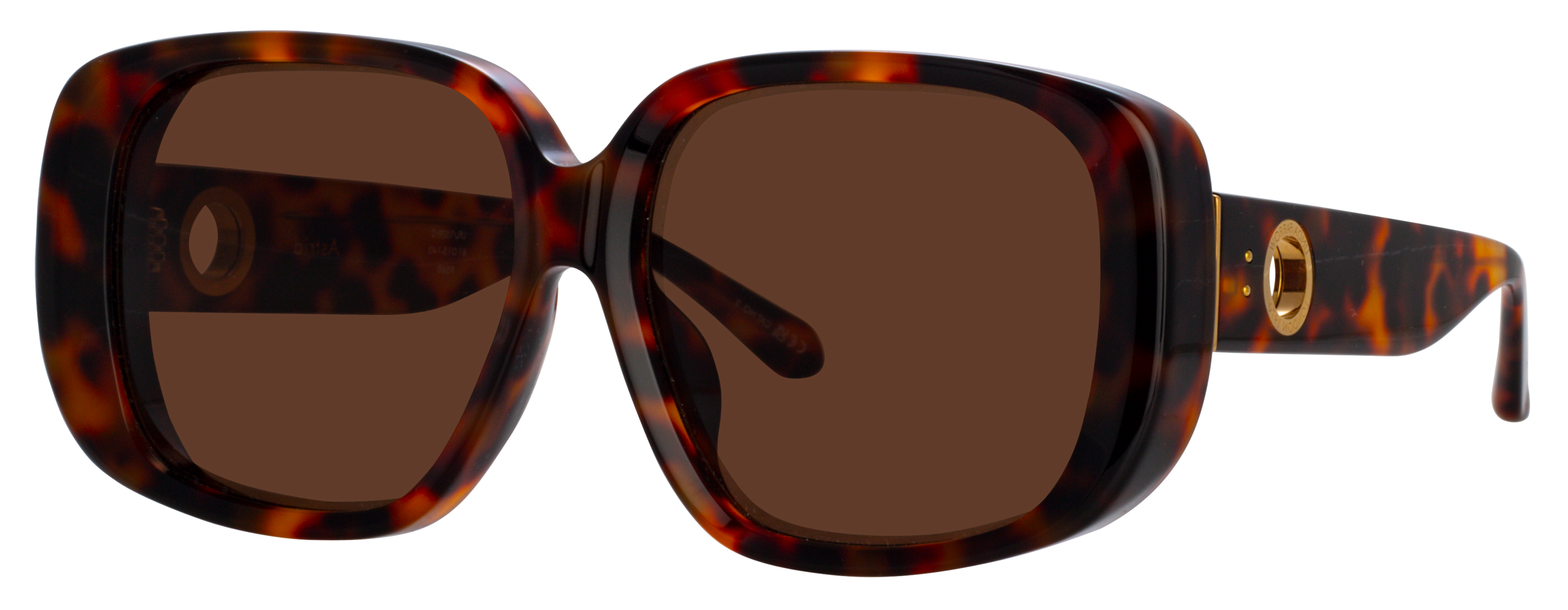 Color_LFL1529C2SUN - Astrid Oversized Sunglasses in Tortoise Shell and Brown