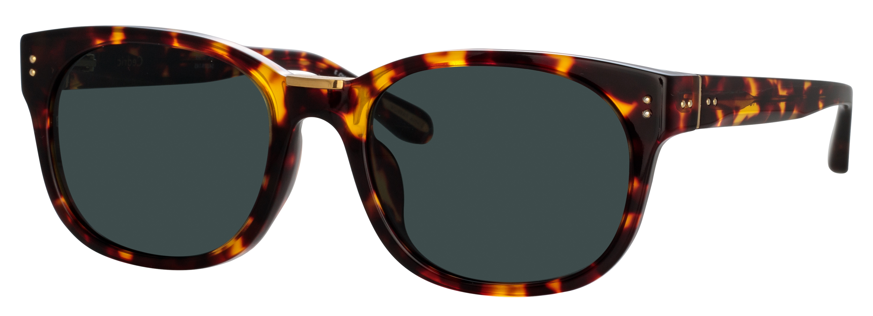 Color_LFL1275C5SUN - Cedric D-Frame Sunglasses in Tortoise Shell and Deep Green