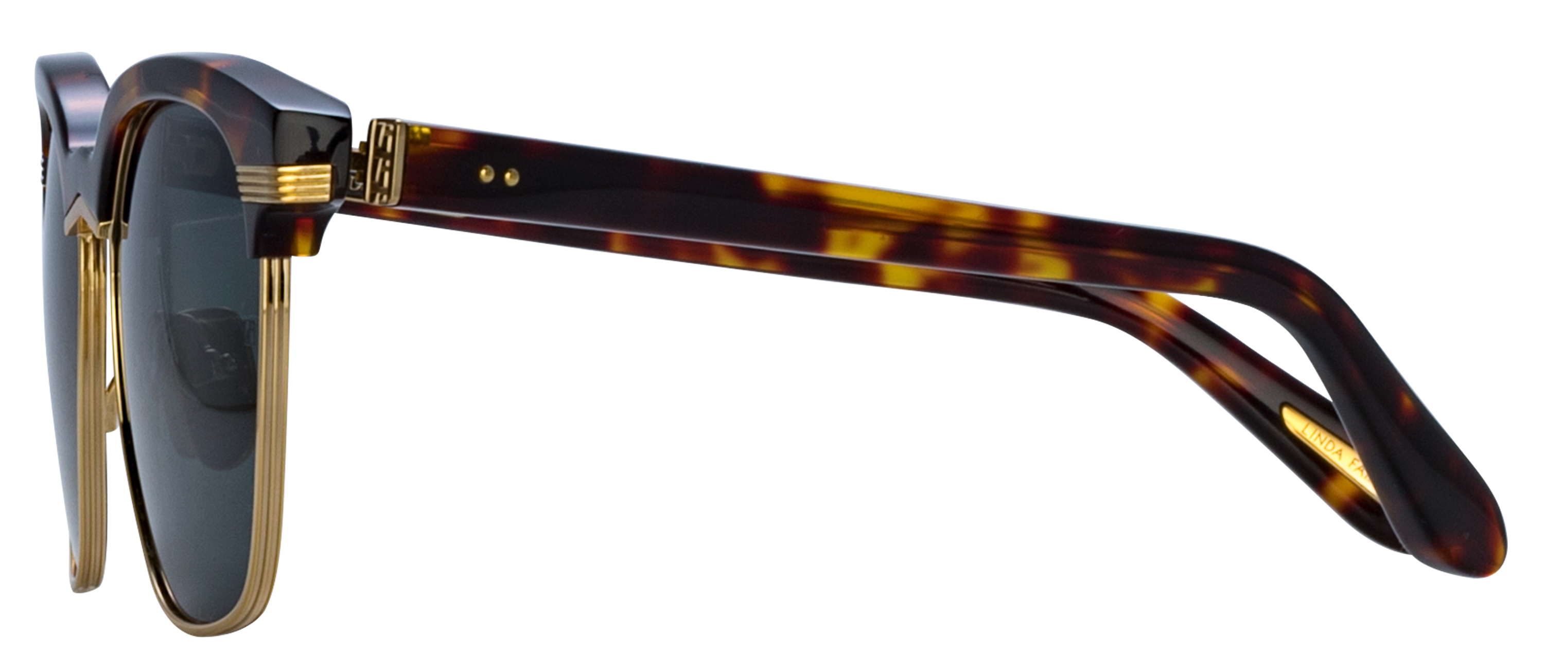 Color_LFL1518C2SUN - Darin D-Frame Sunglasses in Tortoise Shell and Deep Green